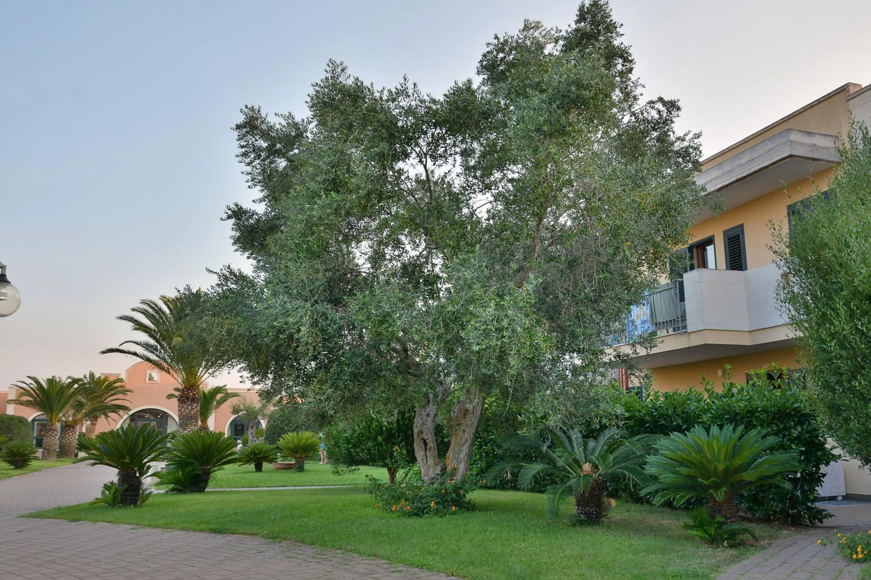 Garden in Hotel Thàlas Club
