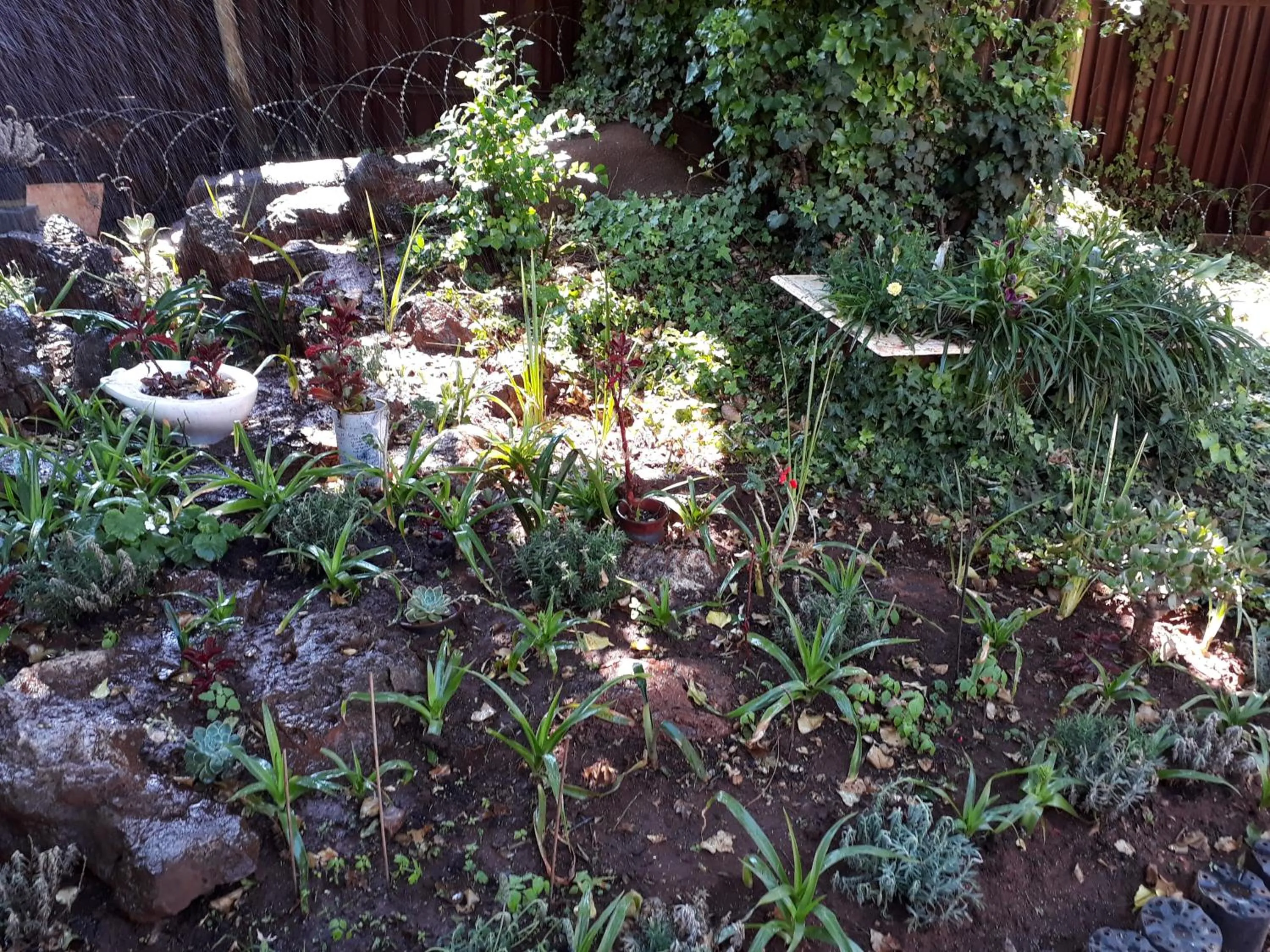 Upper Houghton Guesthouse