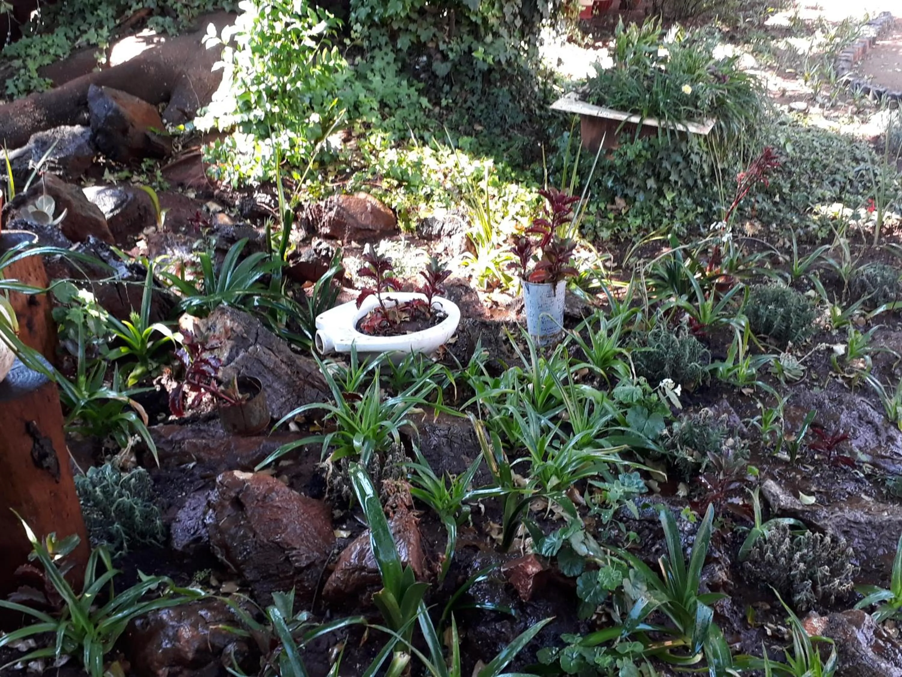 Property building in Upper Houghton Guesthouse