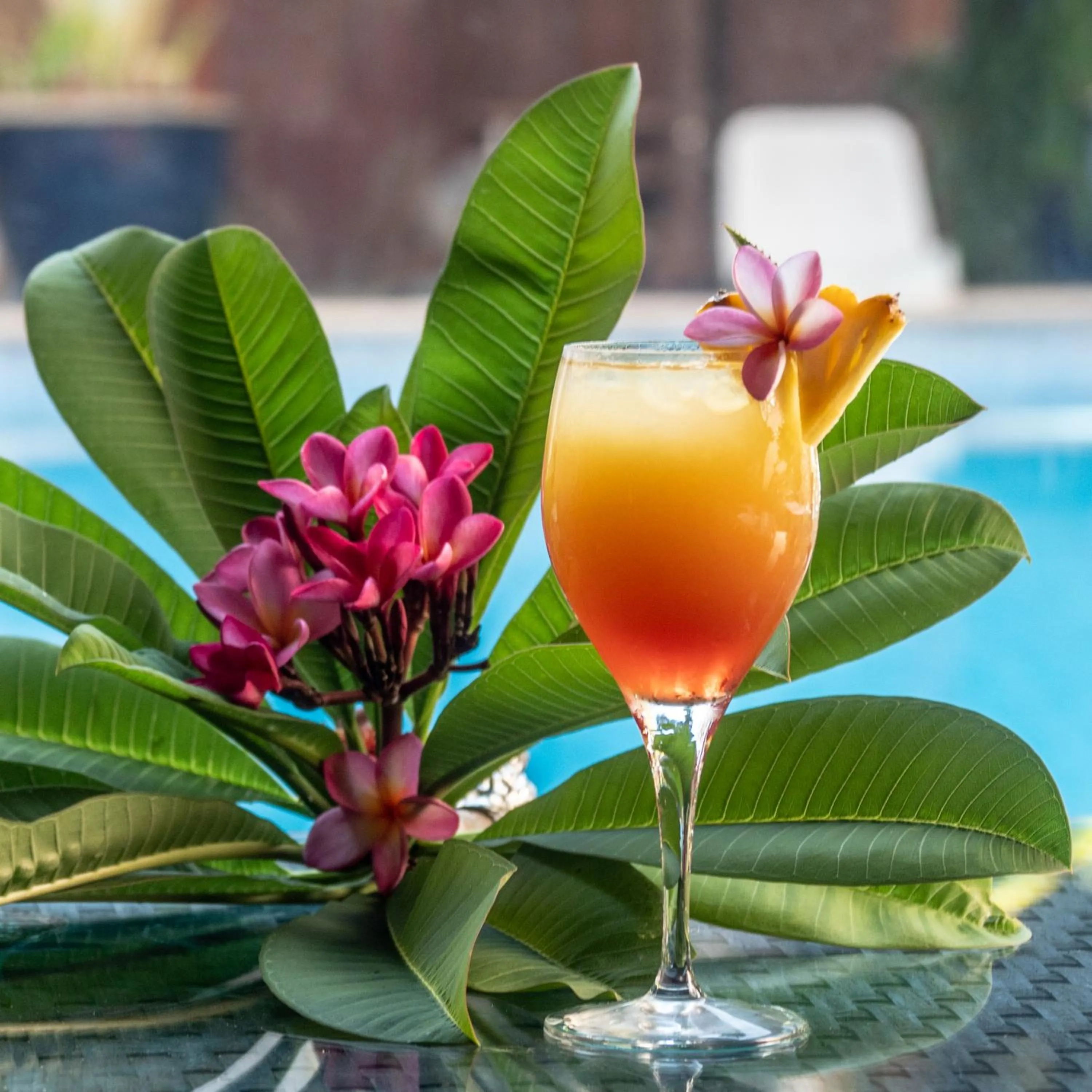 Drinks in Sud Hôtel