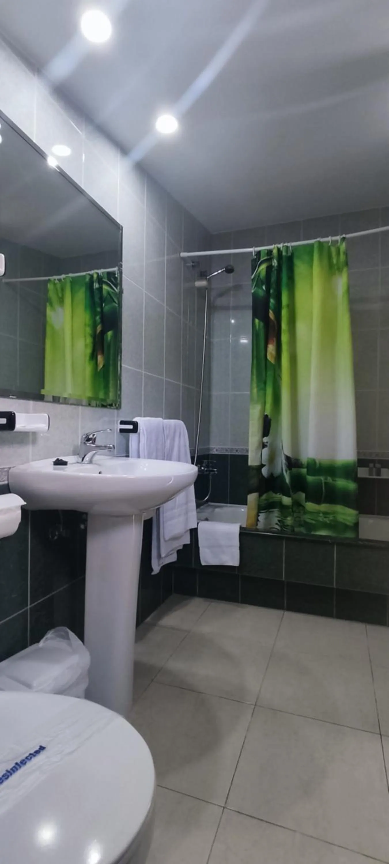 Bathroom in Hotel Estrella del Mar