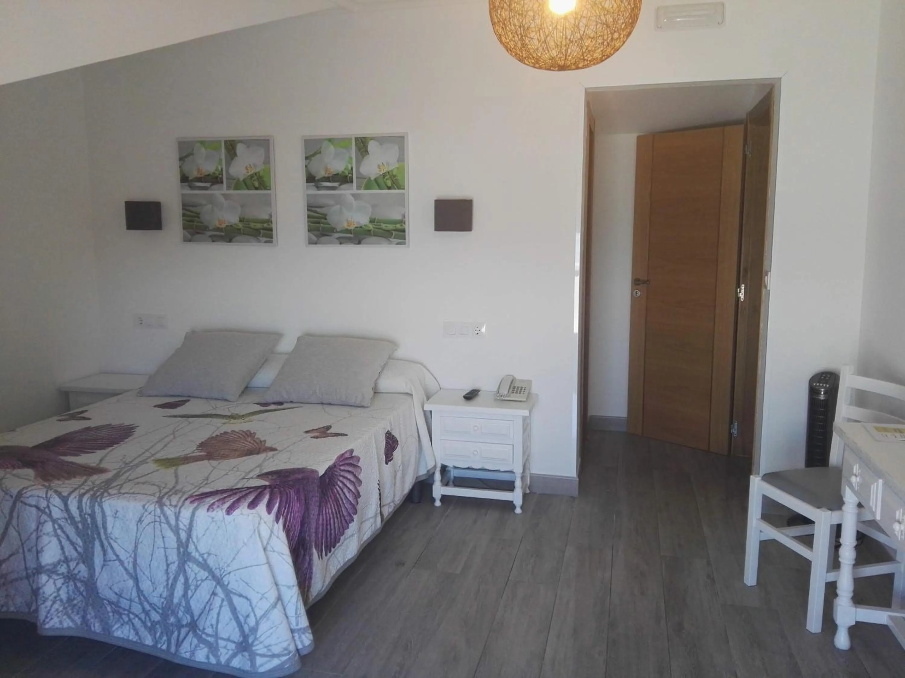 Photo of the whole room in Hotel Estrella del Mar