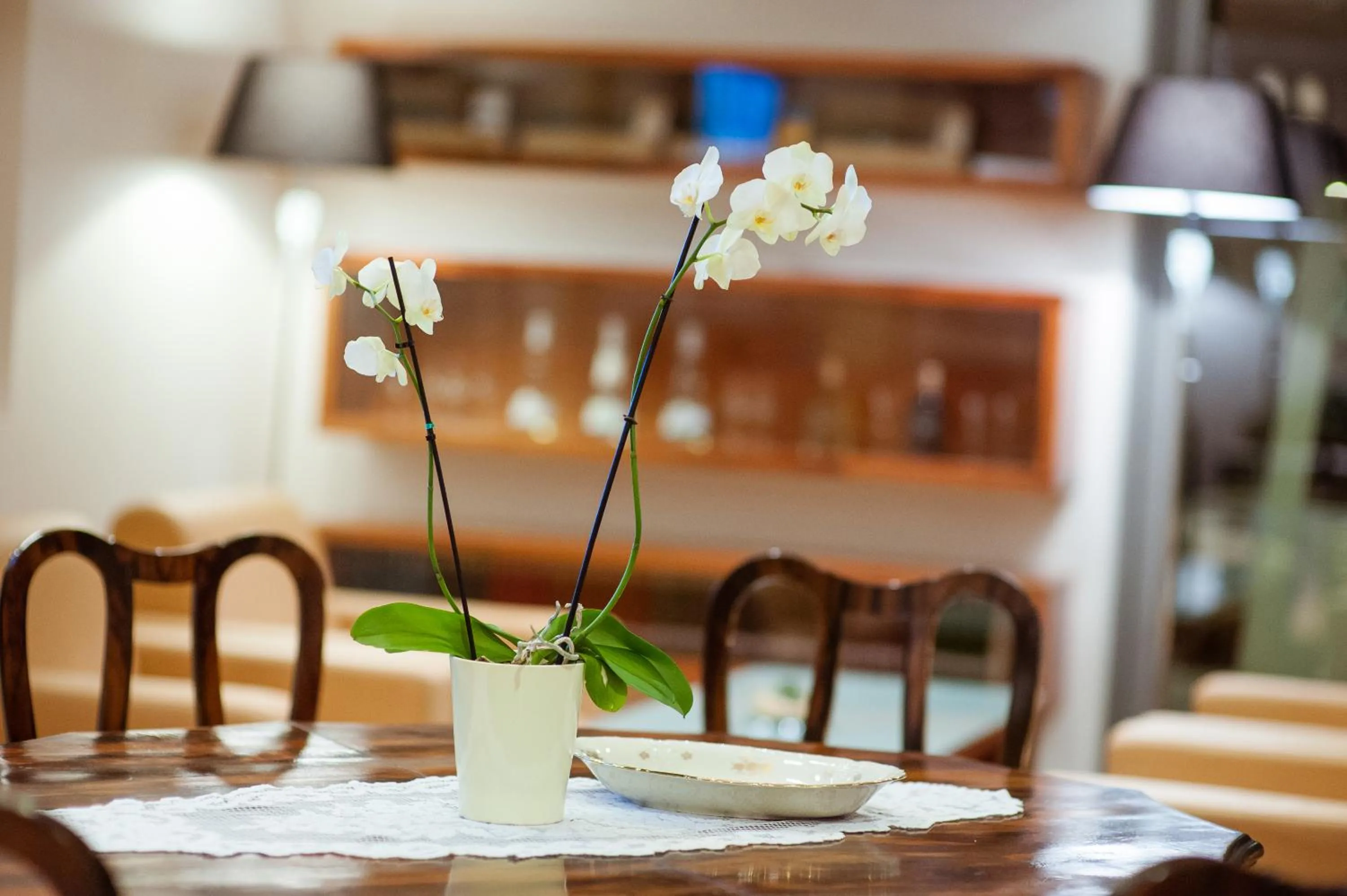 Area and facilities in Terme Zreče – Hotel Atrij