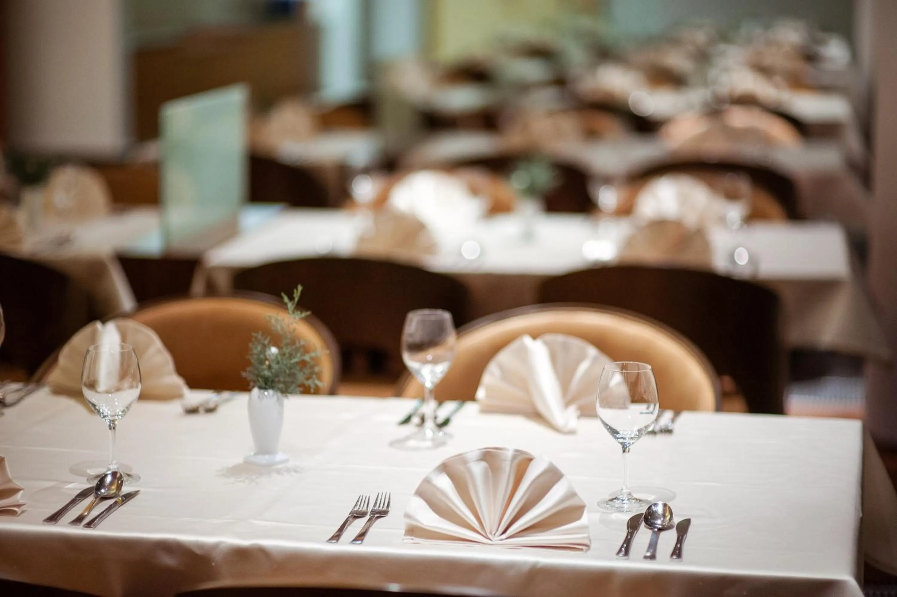 Restaurant/places to eat in Terme Zreče – Hotel Atrij