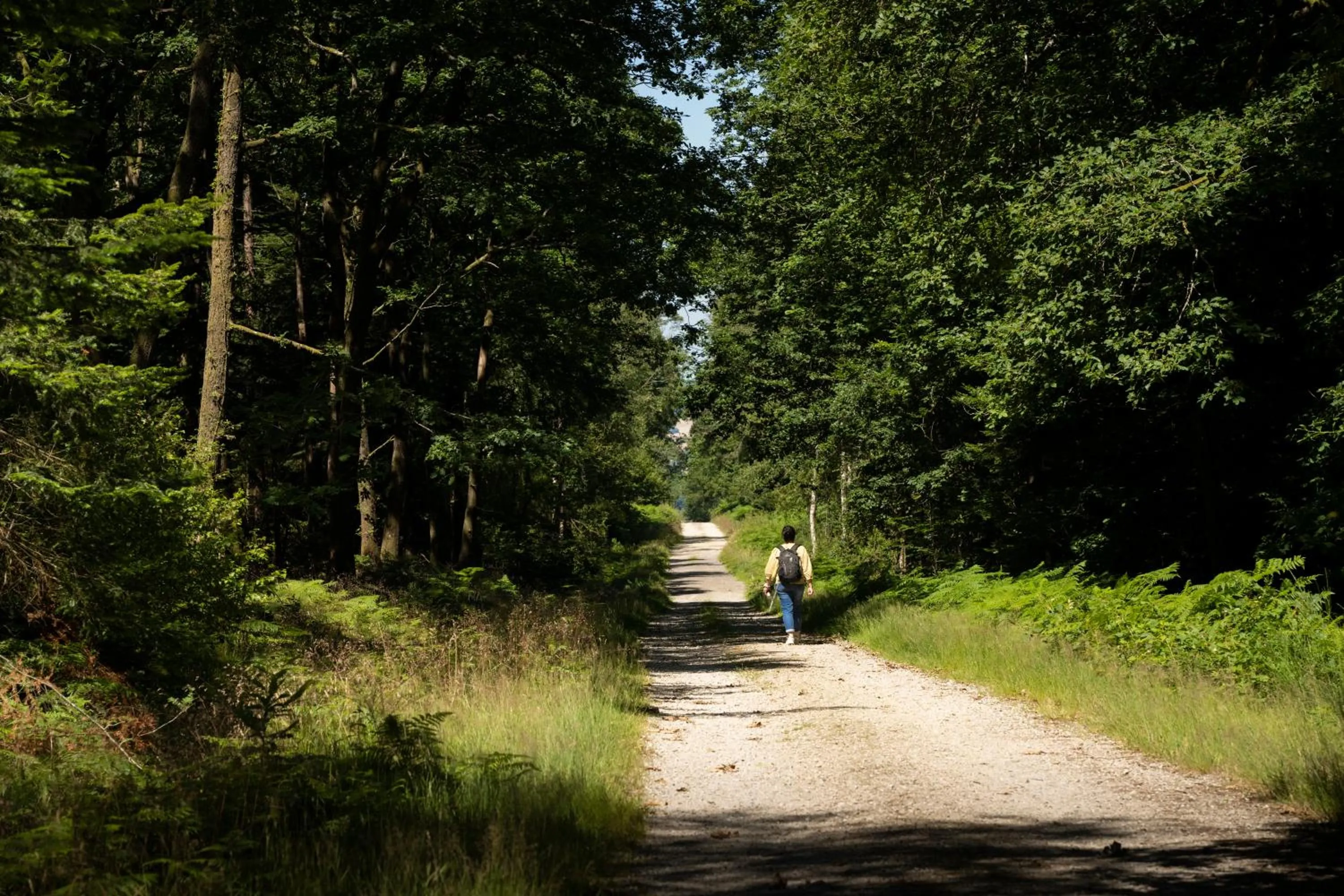 Nearby landmark in ibis Alençon