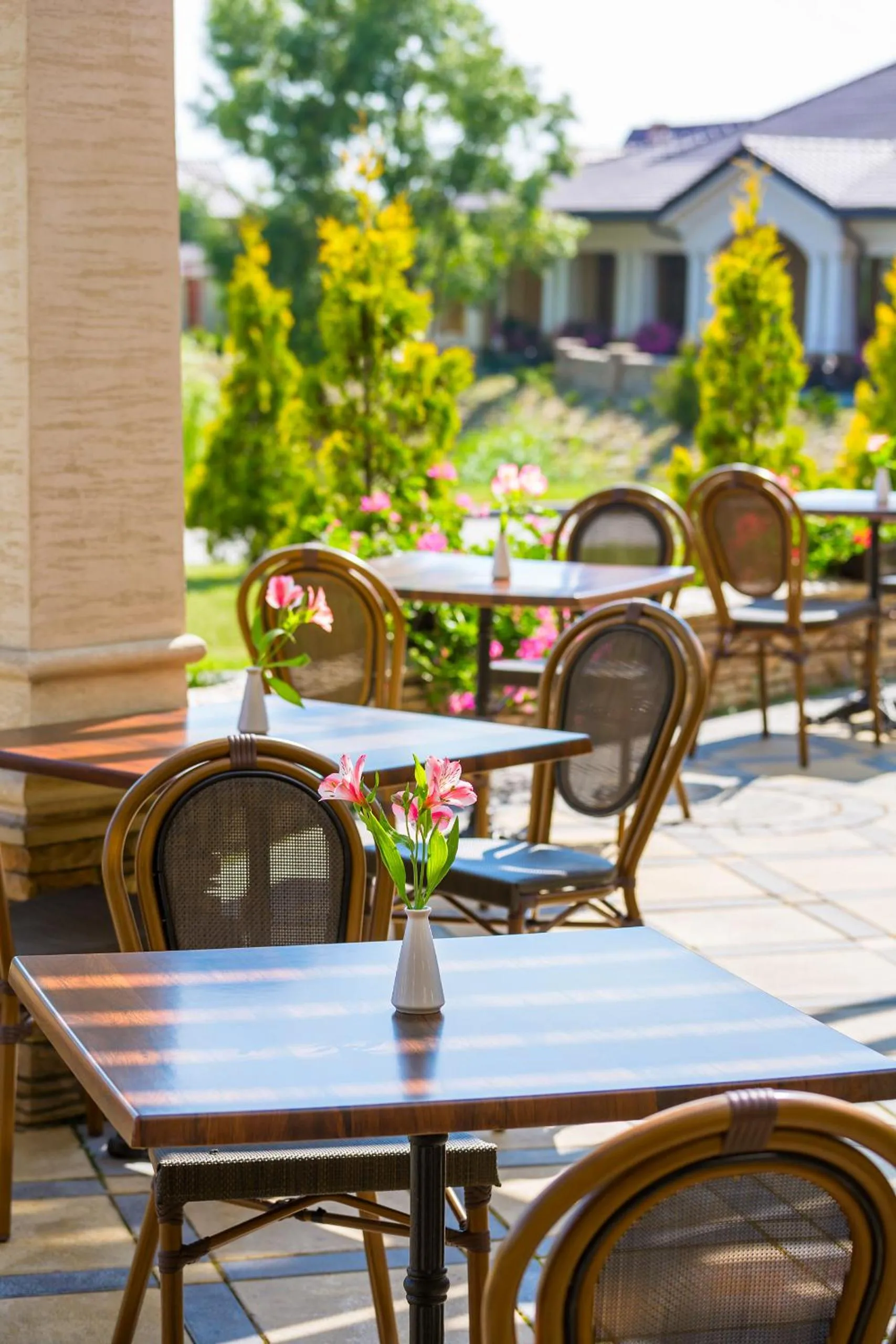 Restaurant/places to eat in Panska Gora