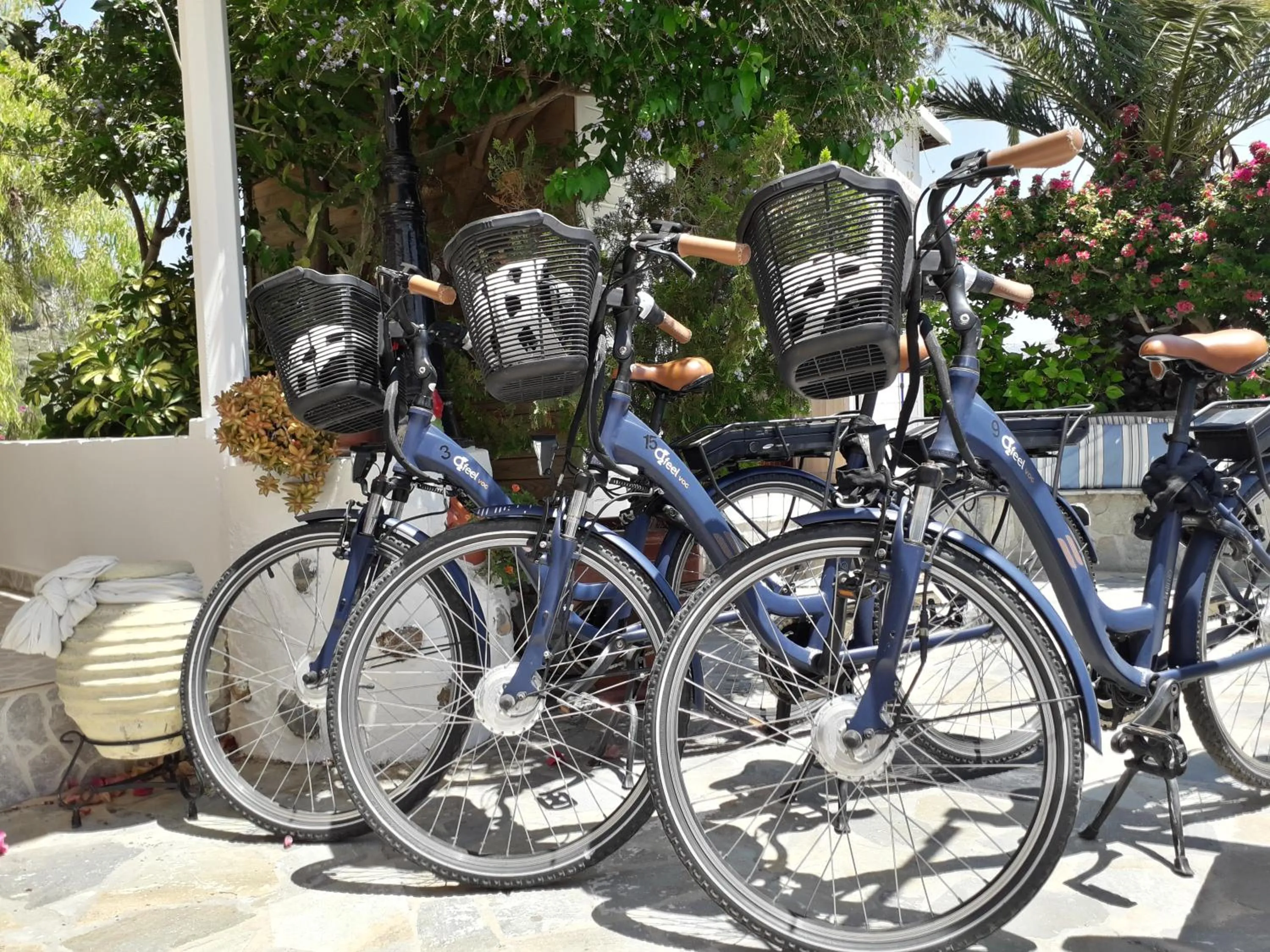 Activities in Saraya Resort