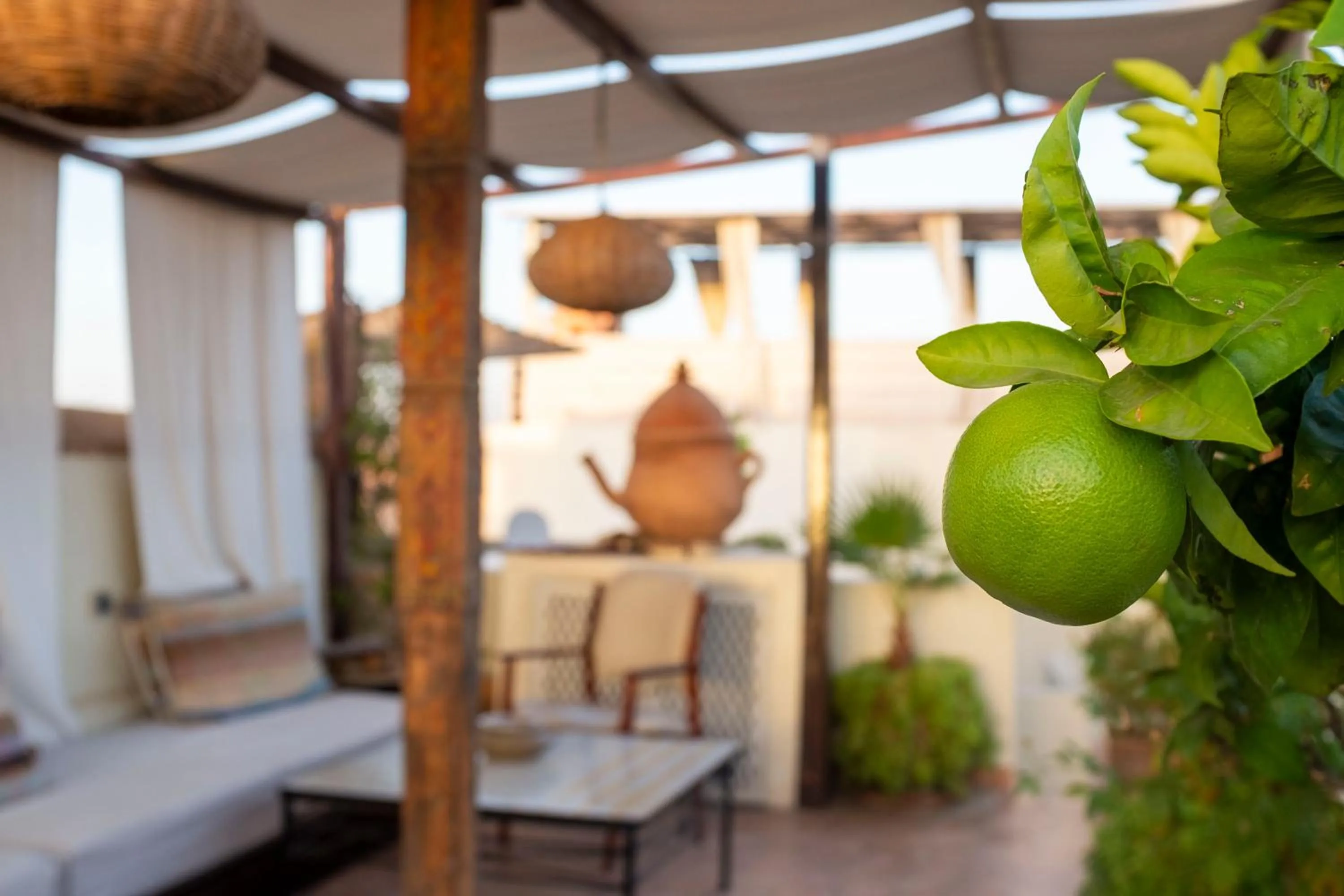 Balcony/Terrace in Riad Le Coq Berbère