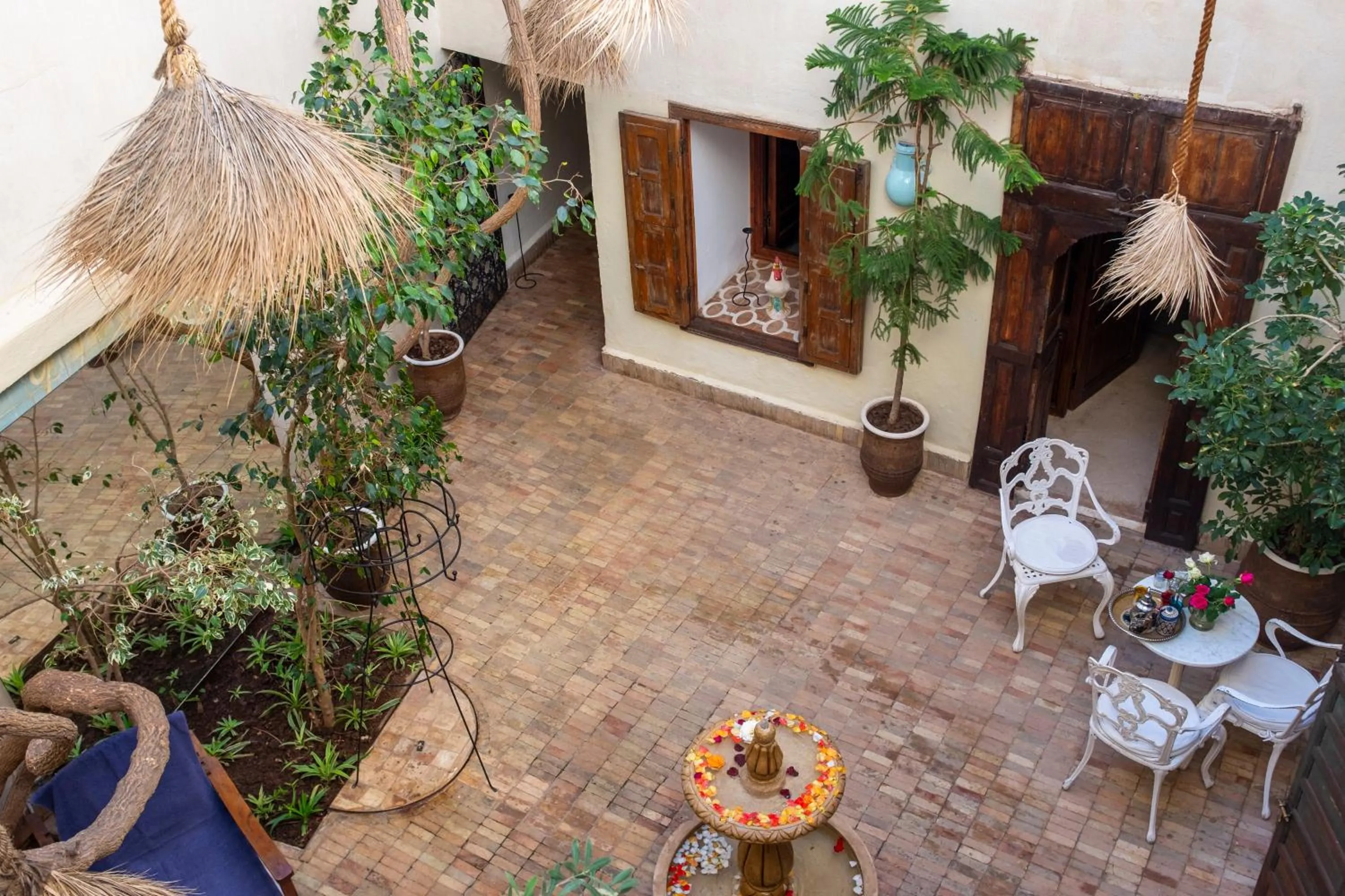 Patio in Riad Le Coq Berbère