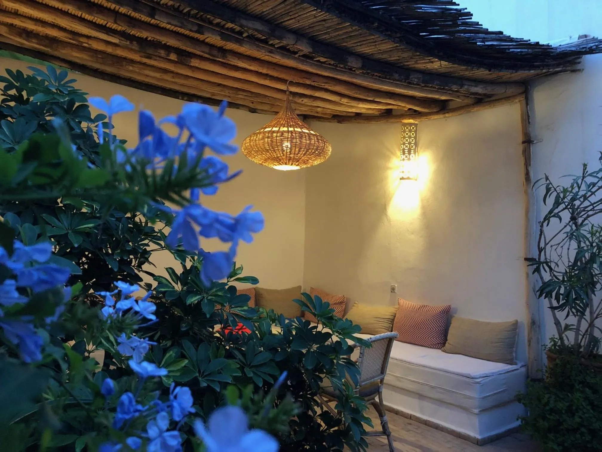 Patio in Riad Le Coq Berbère