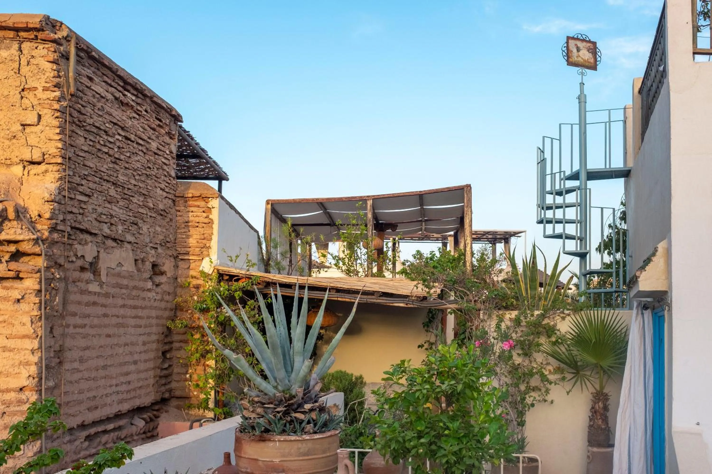 Balcony/Terrace in Riad Le Coq Berbère