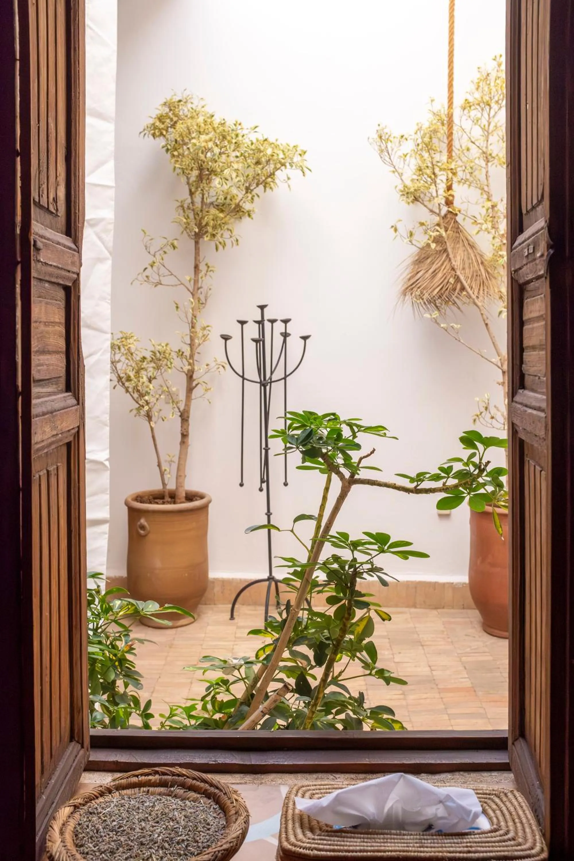 Day in Riad Le Coq Berbère