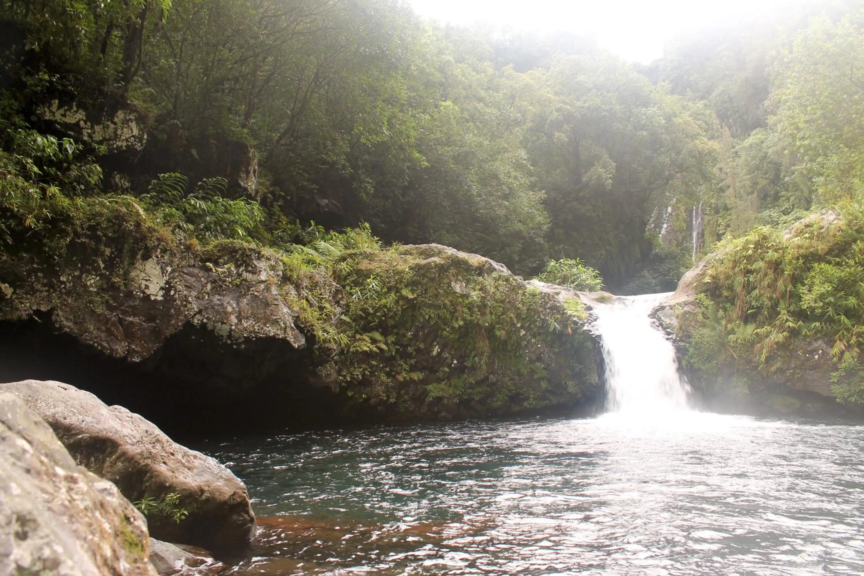 Day in Hôtel Les Créoles