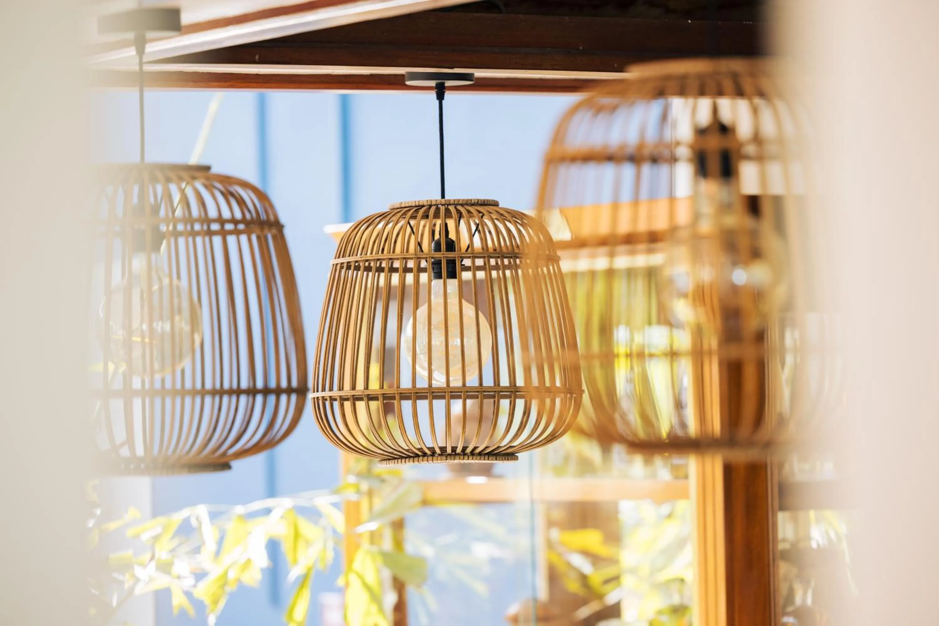 Lobby or reception in Hôtel Les Créoles