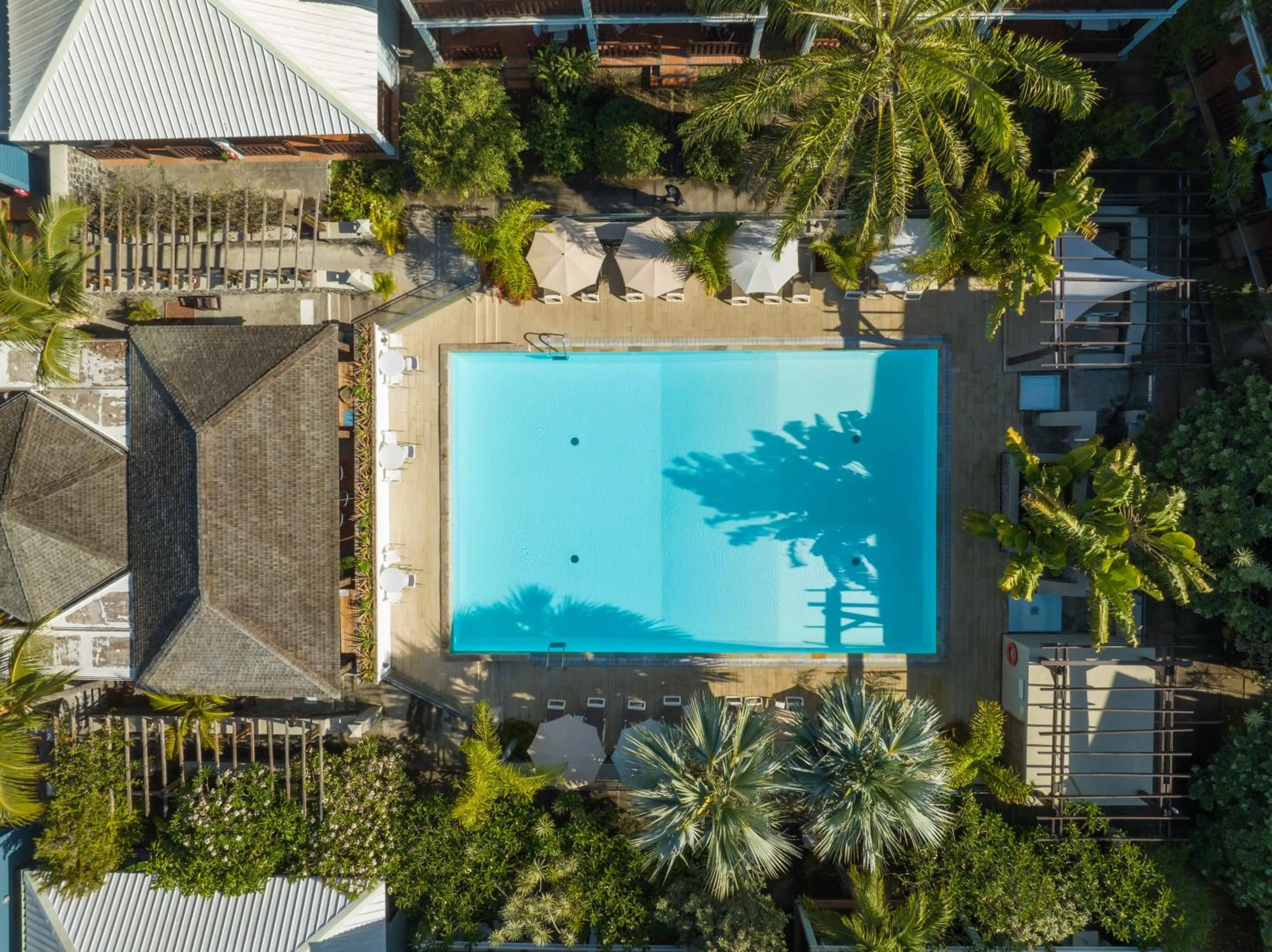 Swimming pool in Hôtel Les Créoles