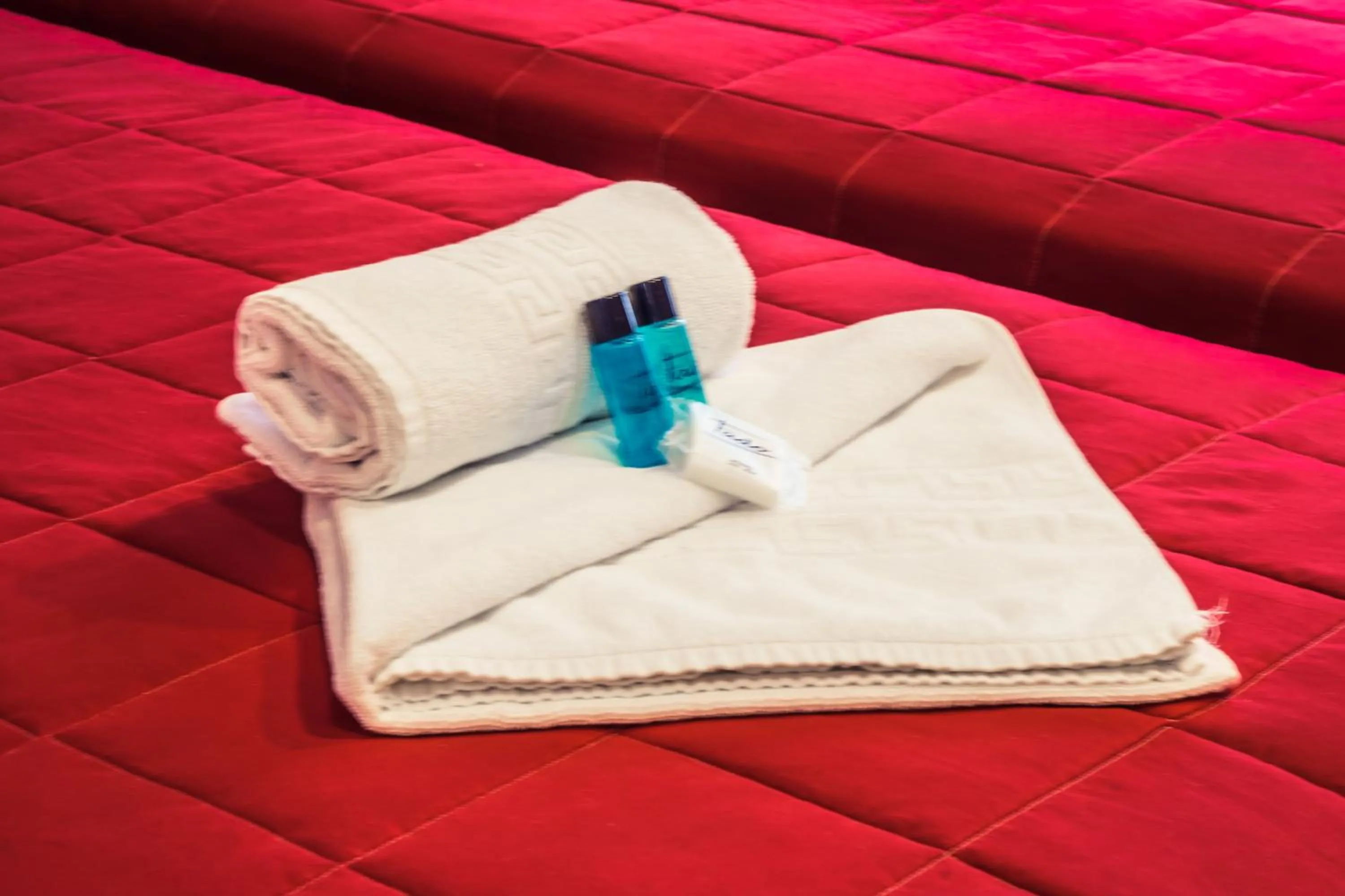 Bed in In Barcelos Hostel & Guest House