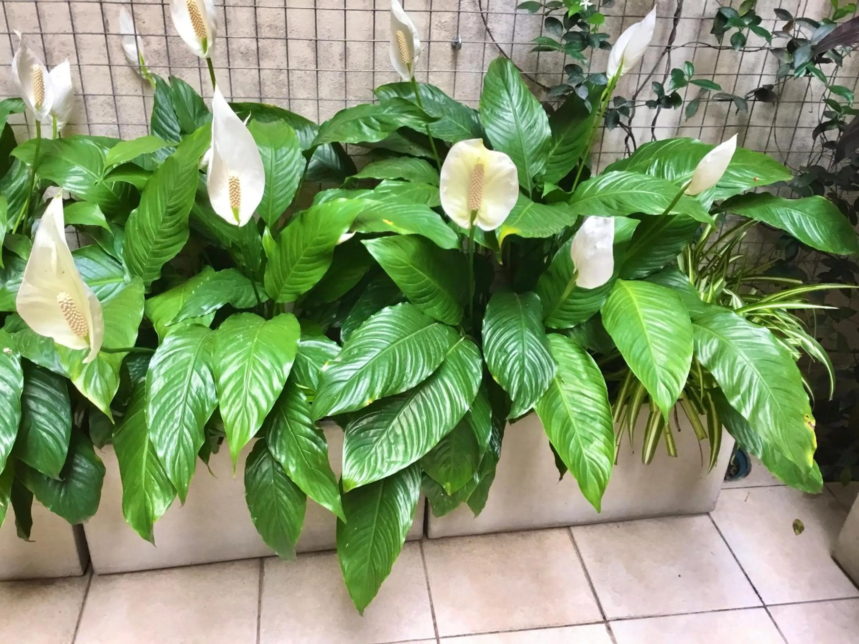 Apart Hotel Rio Grande