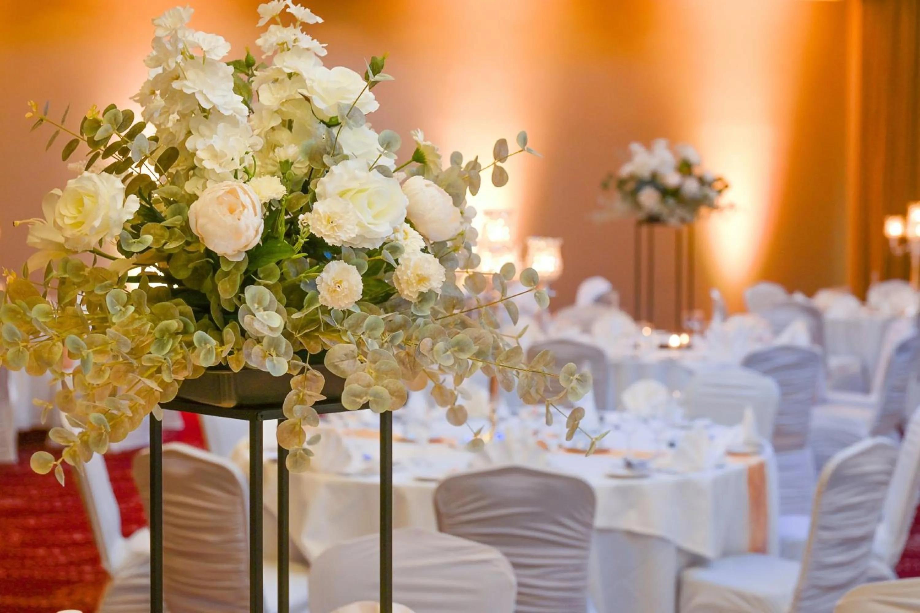Banquet/Function facilities in Sheraton Athlone Hotel