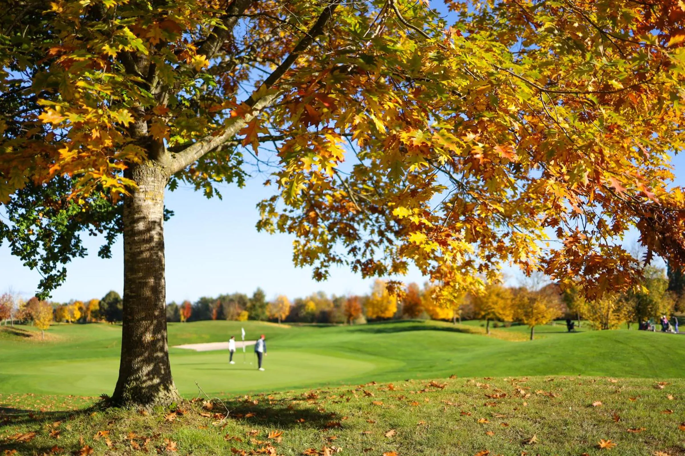 Golfcourse in Metzenhof