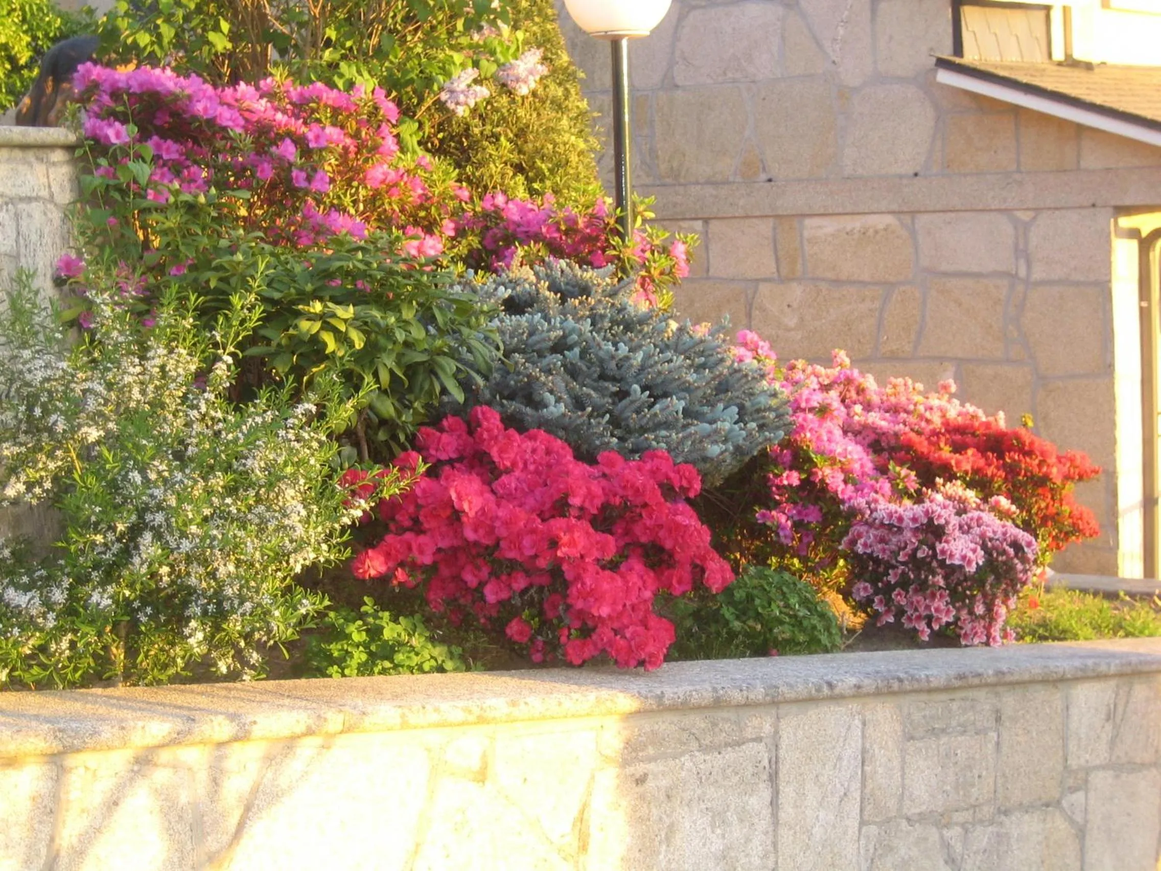 Garden in Hotel Chola