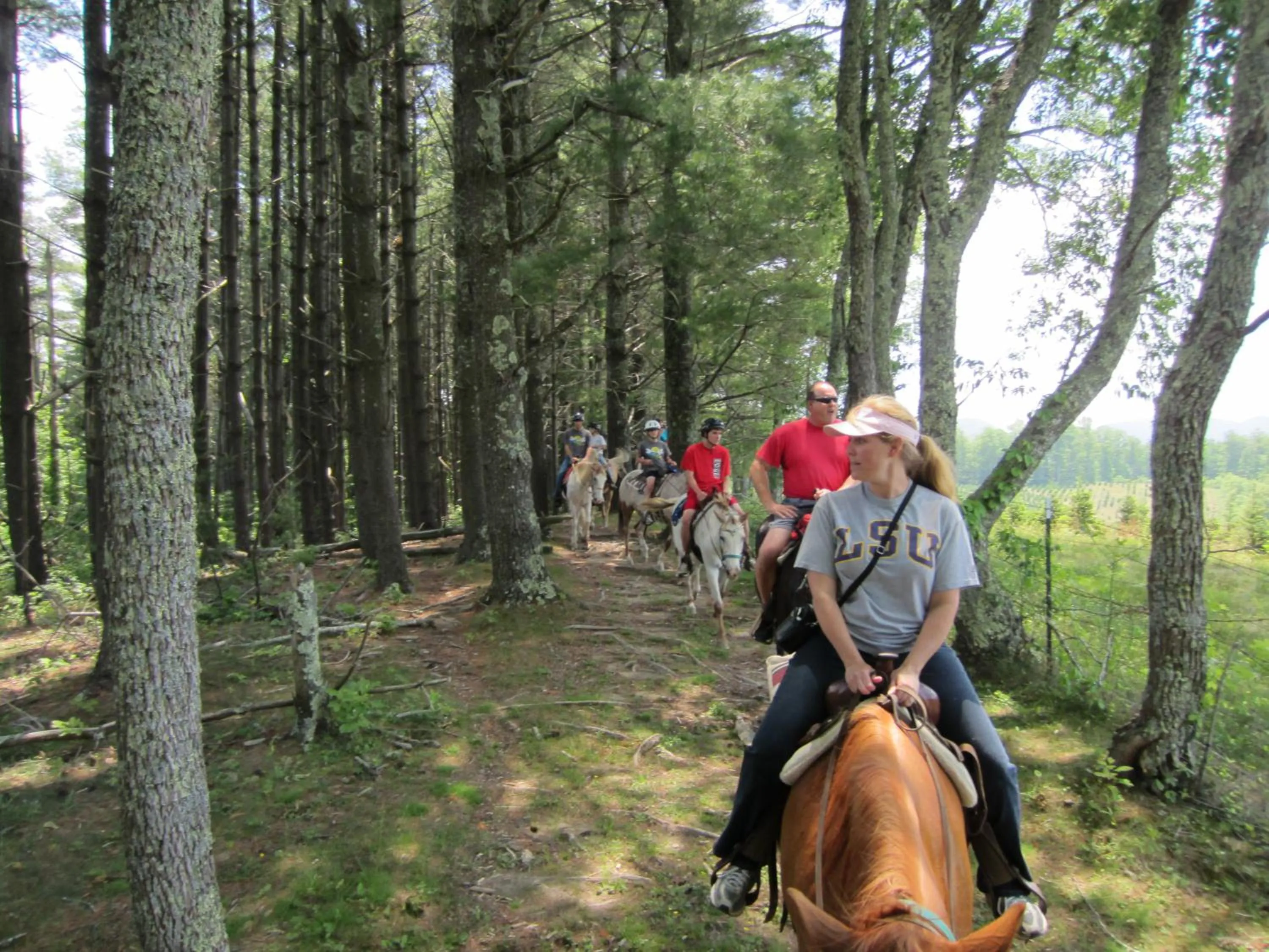 Horse-riding in Arrowmont Stables & Cabins