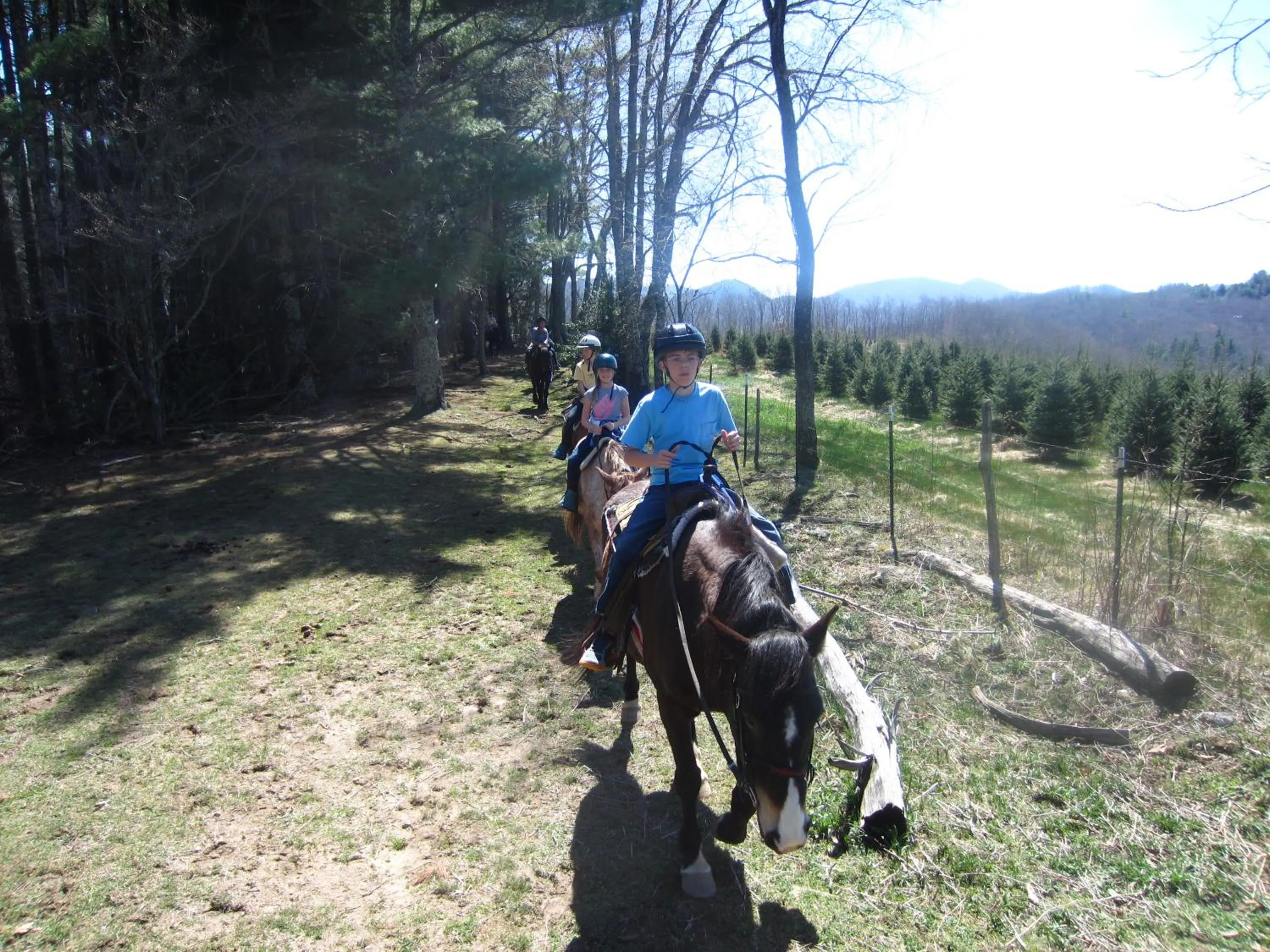 Horse-riding in Arrowmont Stables & Cabins
