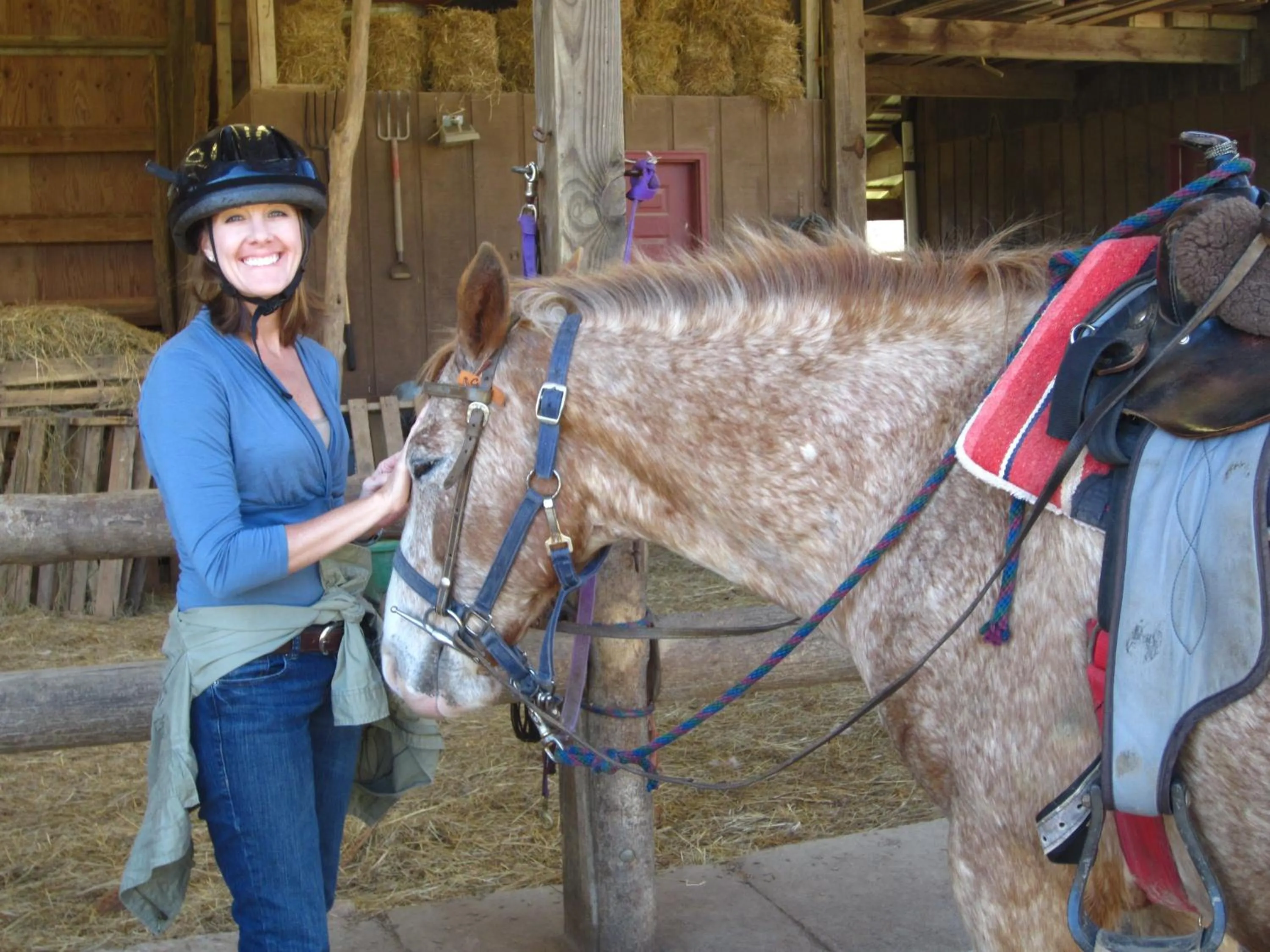 Property building in Arrowmont Stables & Cabins