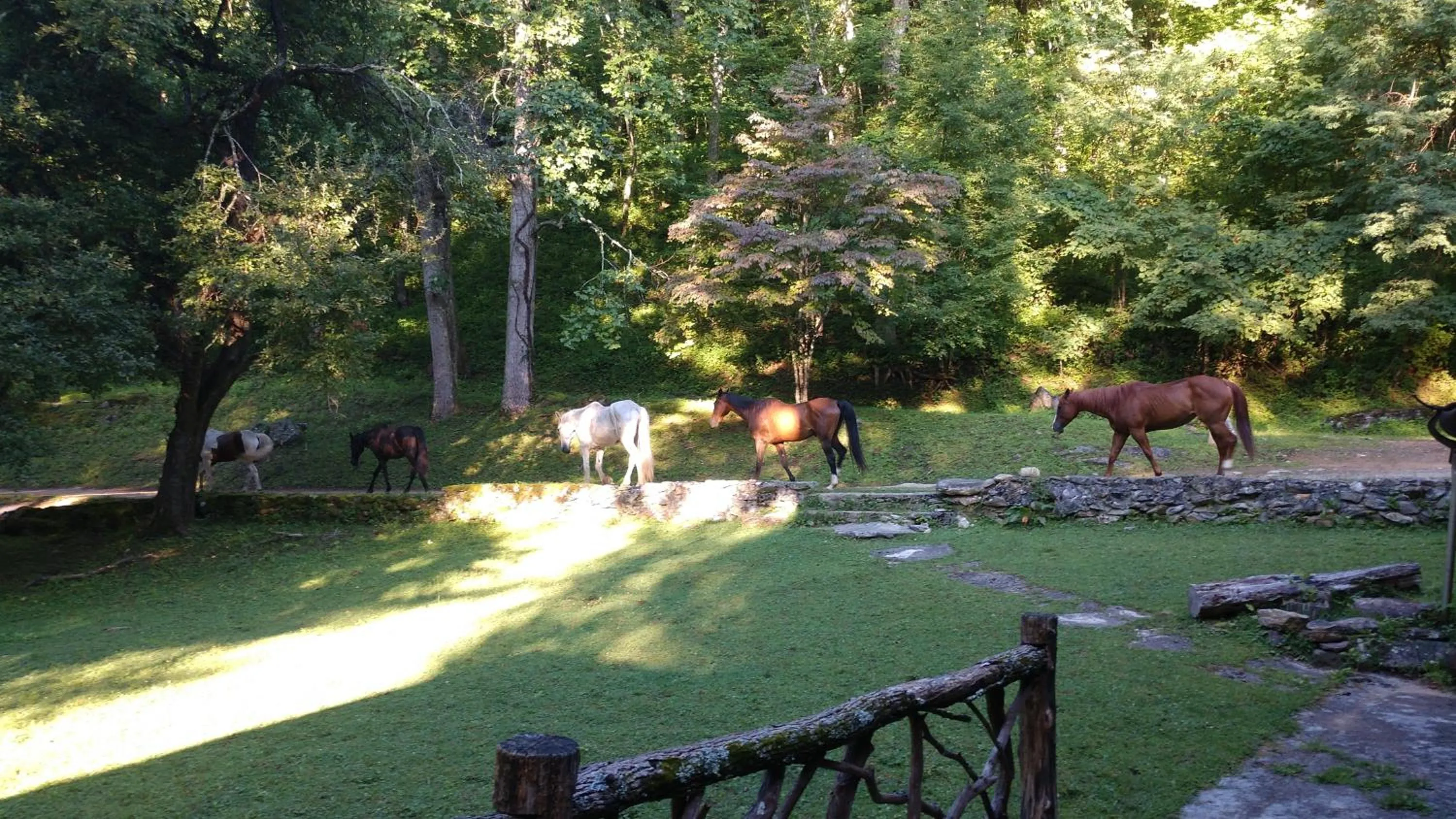 Facade/entrance in Arrowmont Stables & Cabins
