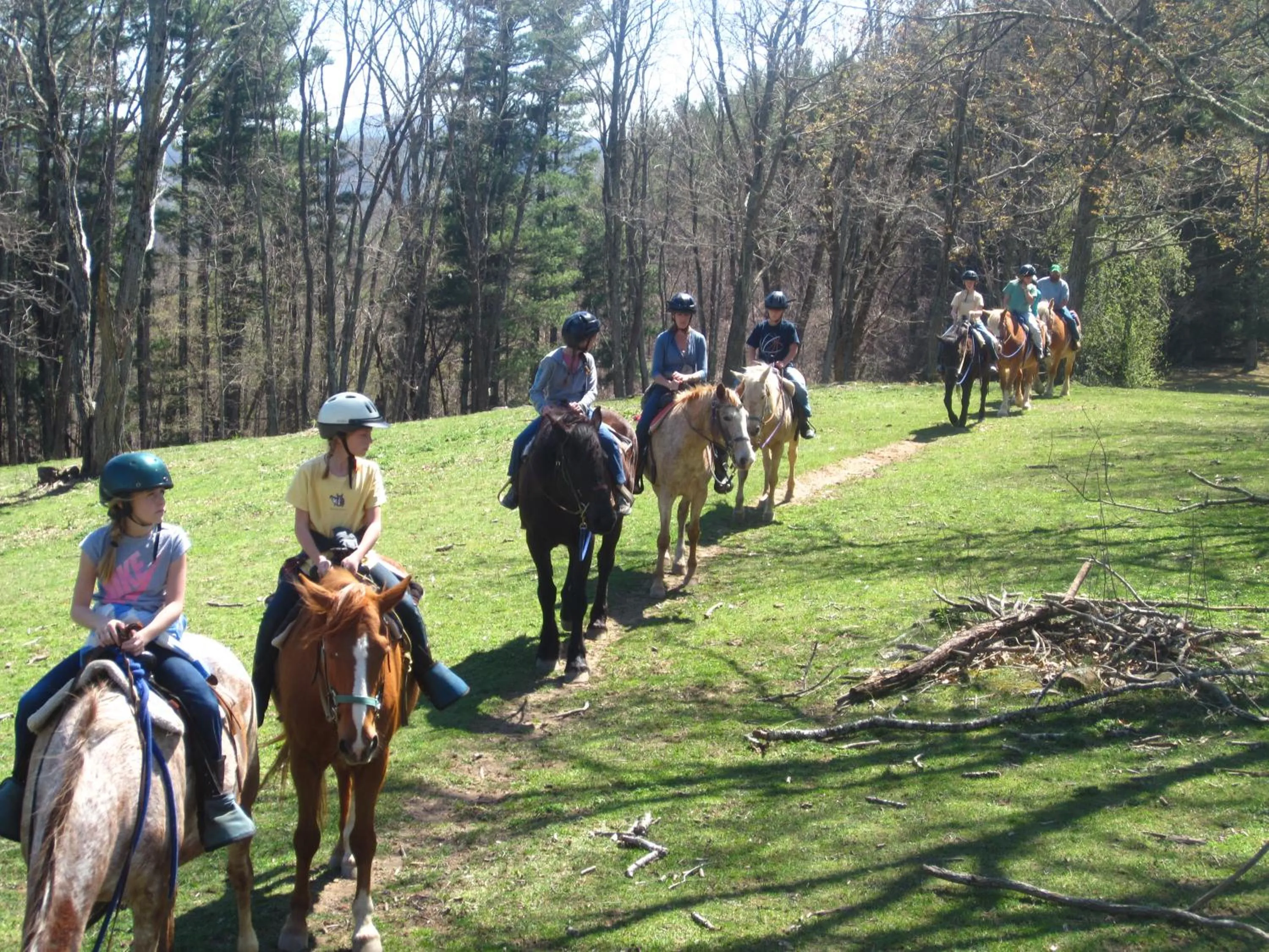 Horse-riding in Arrowmont Stables & Cabins