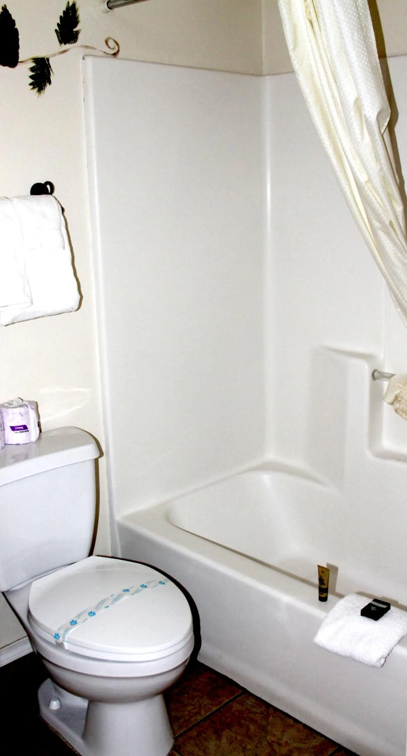 Shower in Fireside Lodge