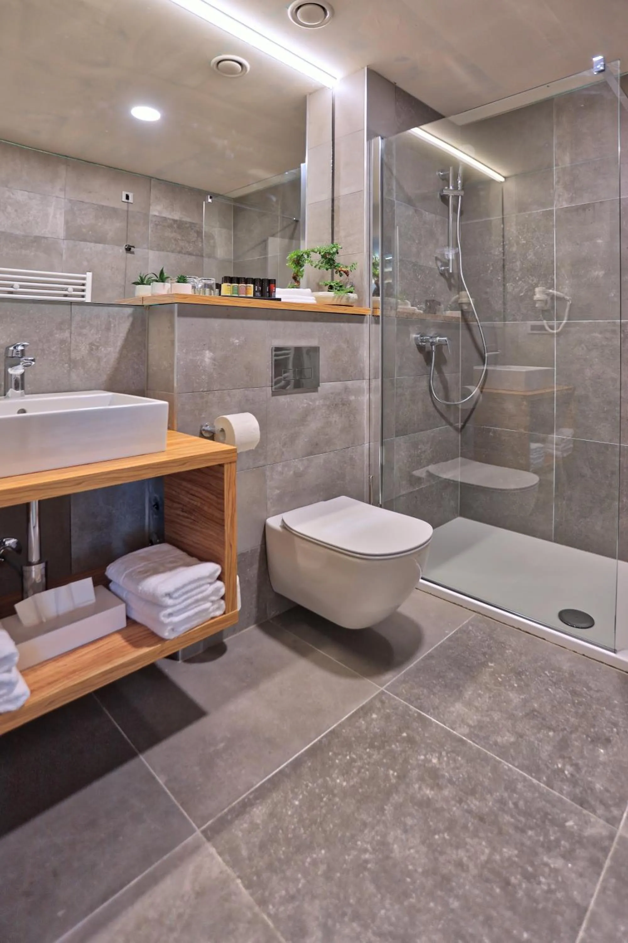 Shower in Hotel Olea