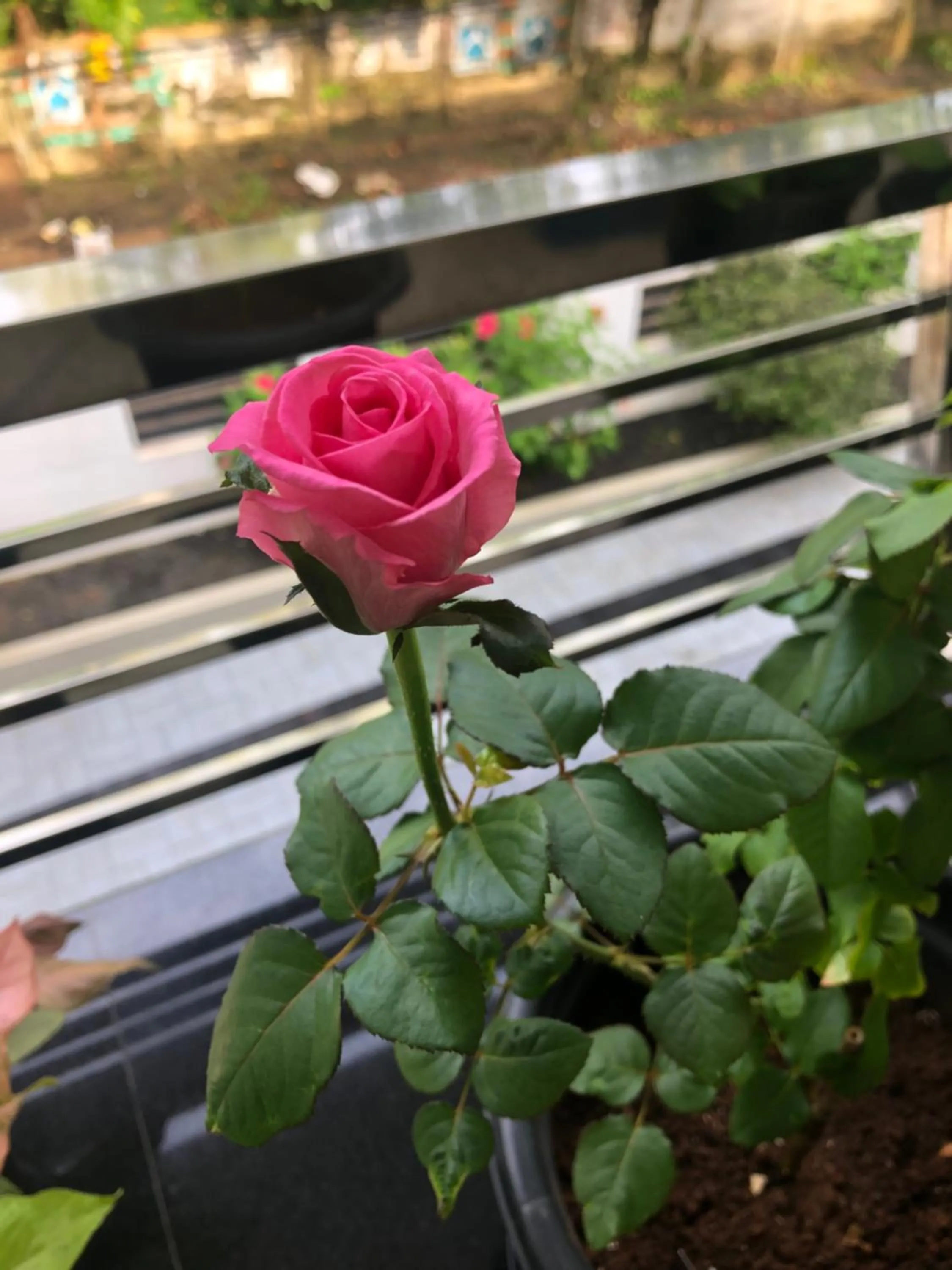 Balcony/Terrace in Sannidhi Home stay