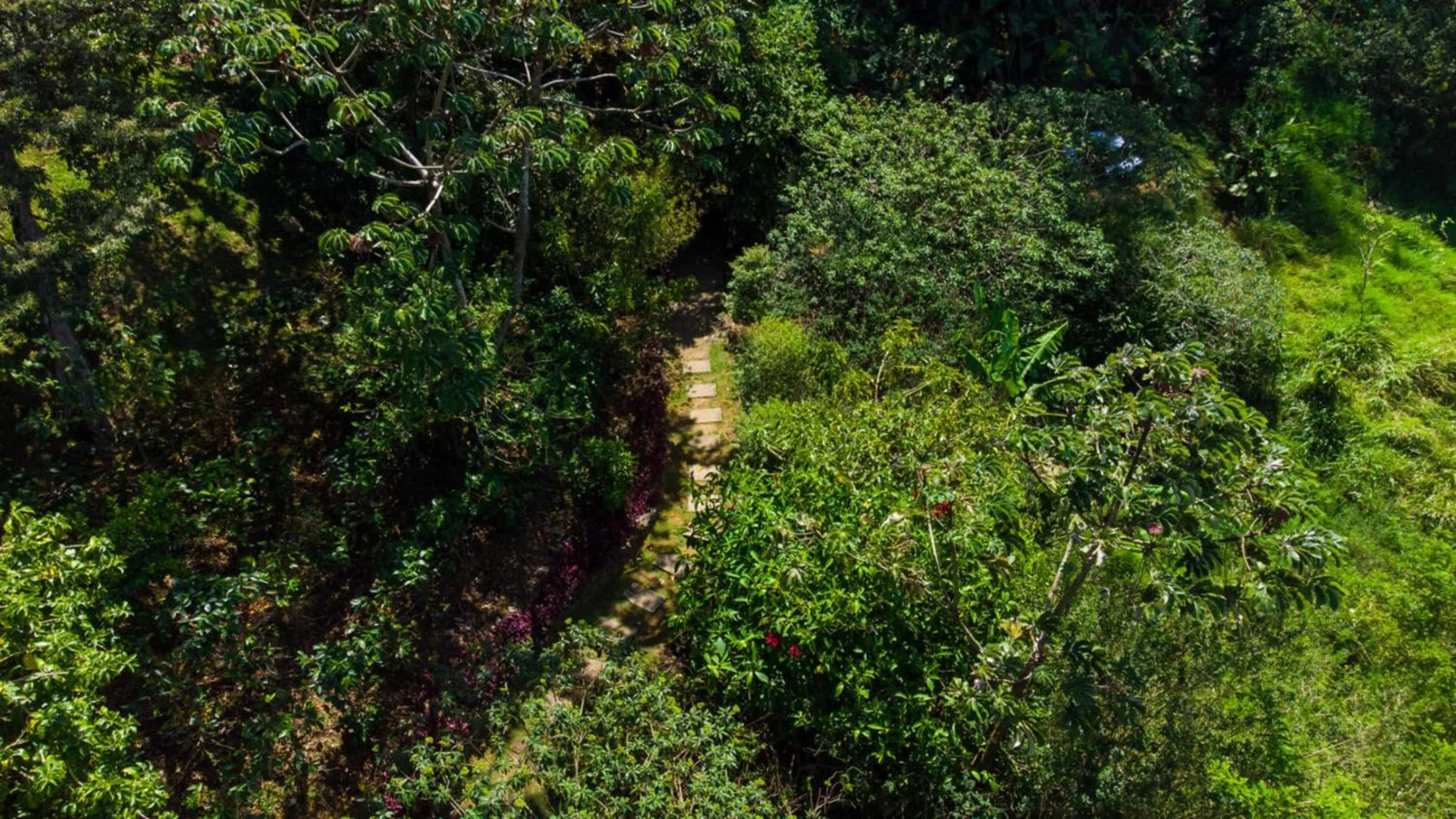 Natural landscape in Hotel & Spa Poco a Poco - Costa Rica