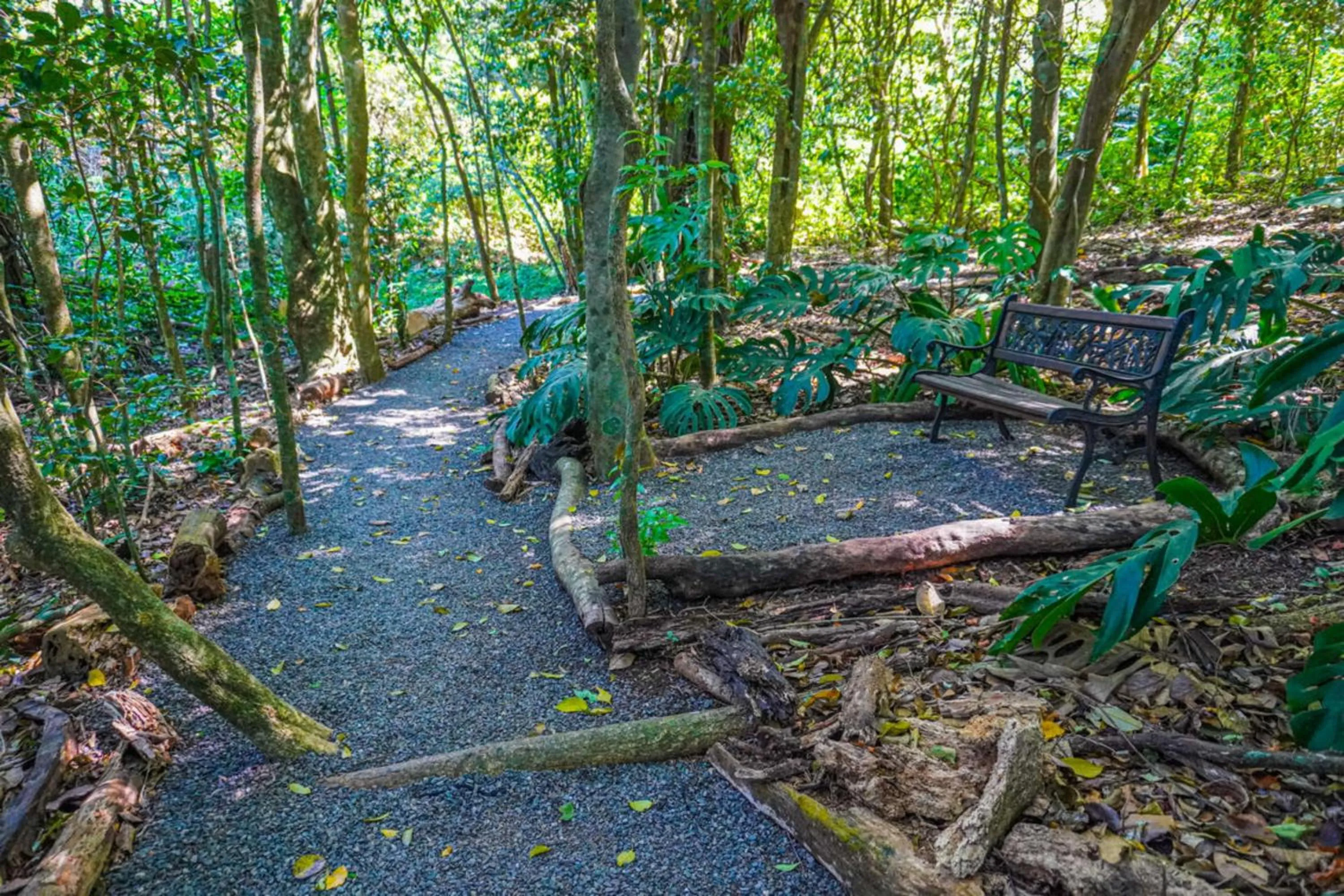 Day in Hotel & Spa Poco a Poco - Costa Rica