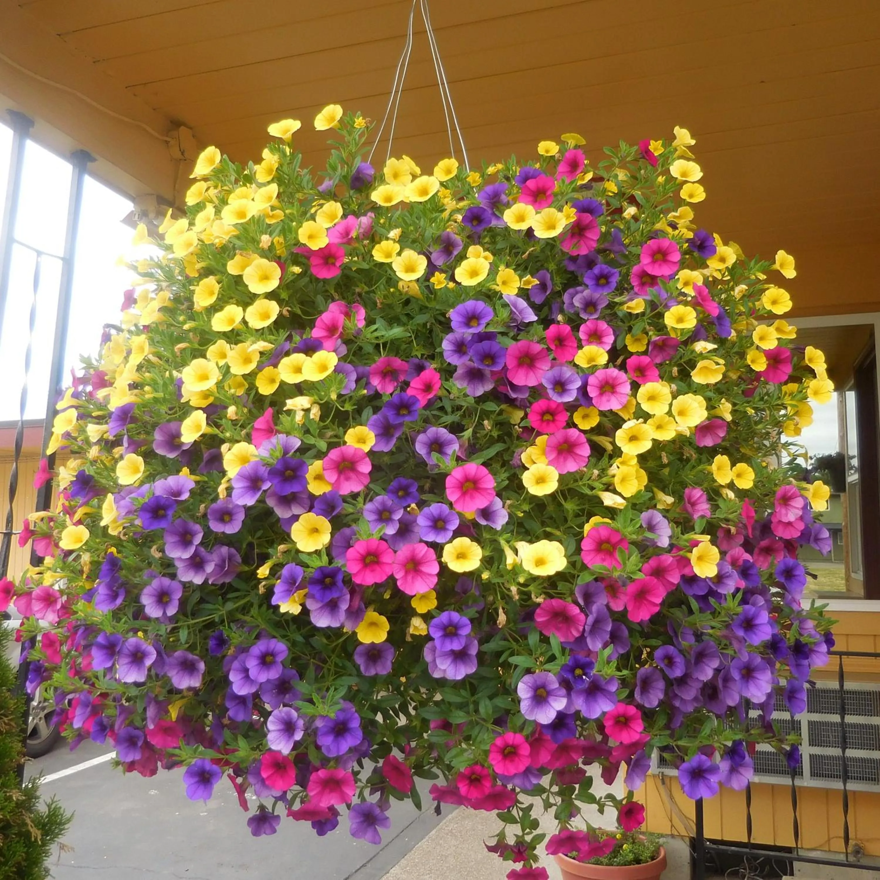 Other in Galaxie Motel