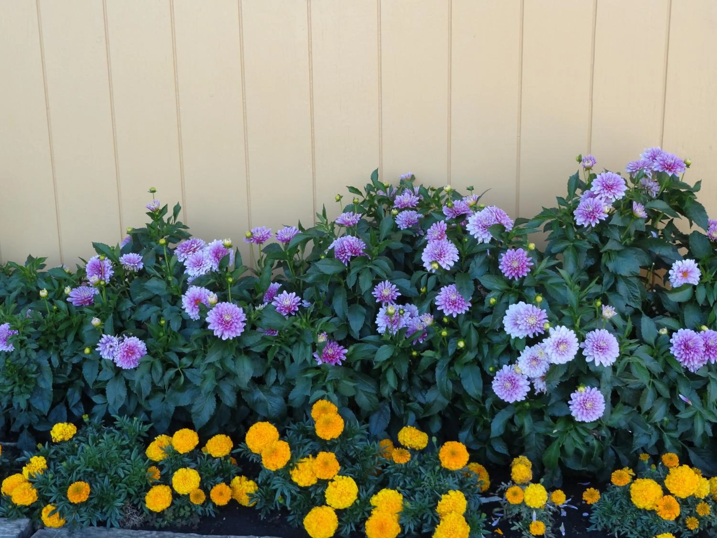 Spring in Galaxie Motel