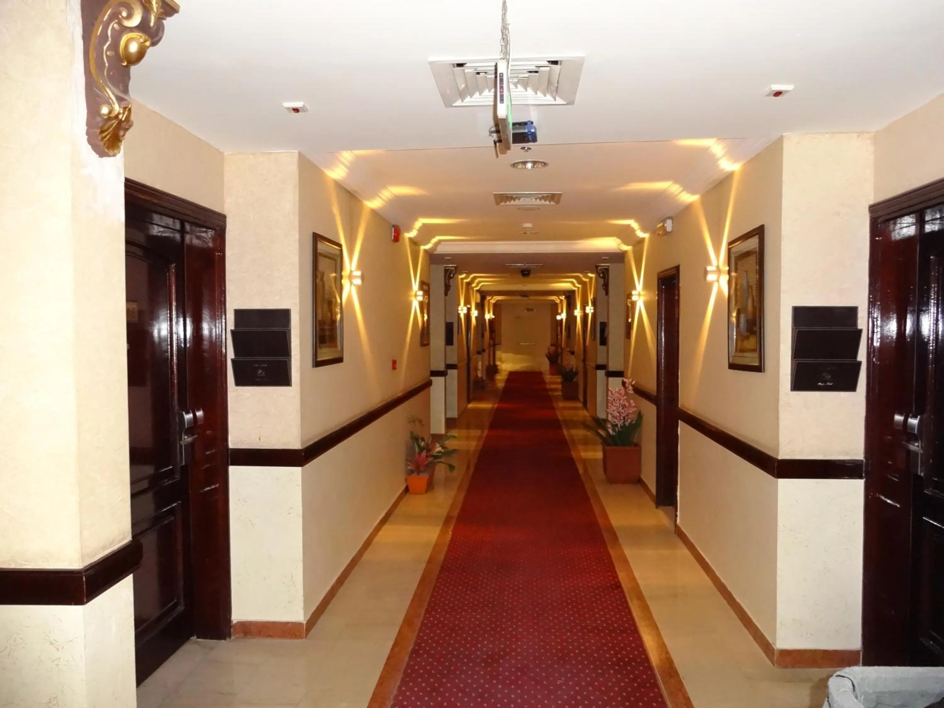 Area and facilities in Qasr Al Sahab