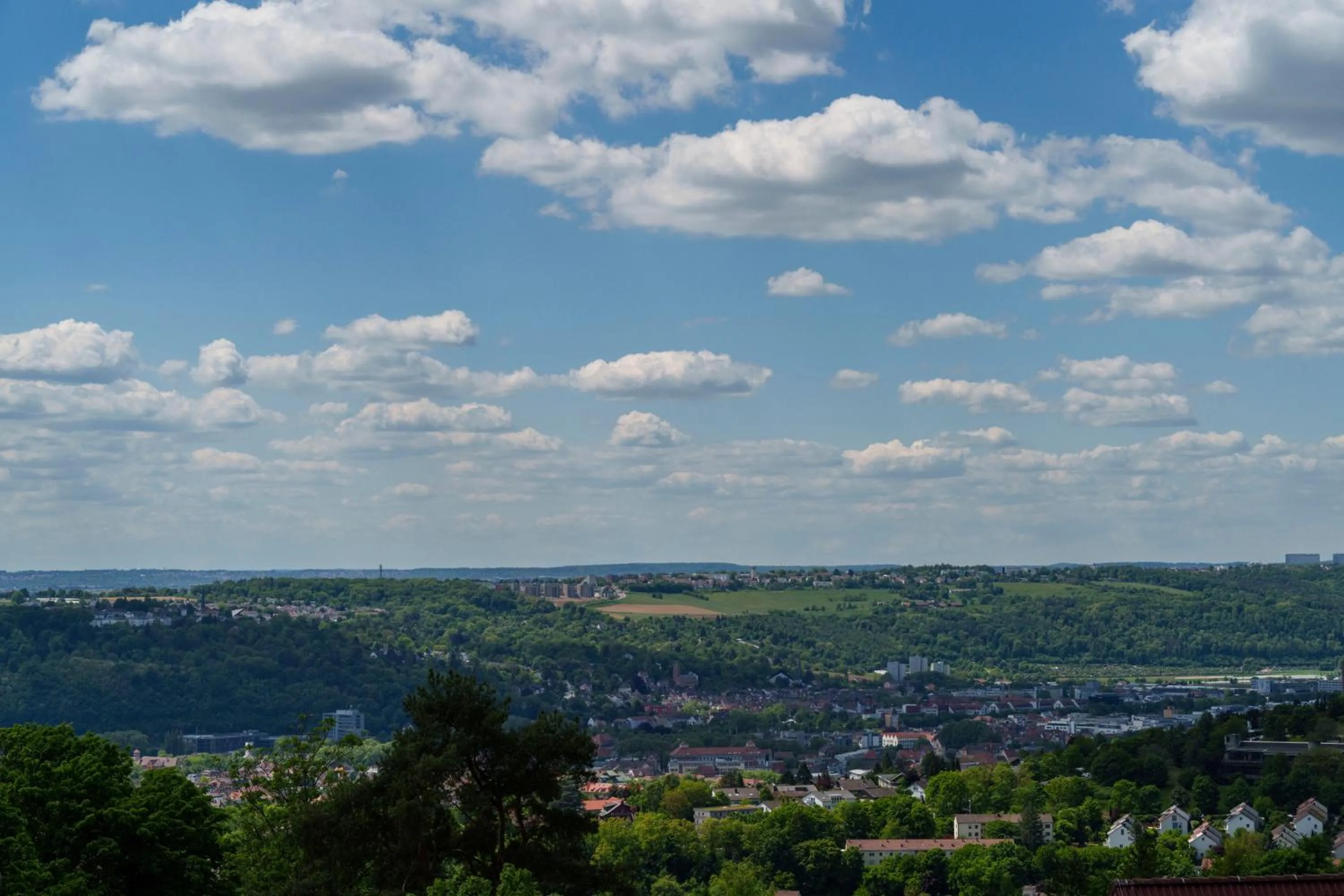 Natural landscape in Hotel am Berg Esslingen