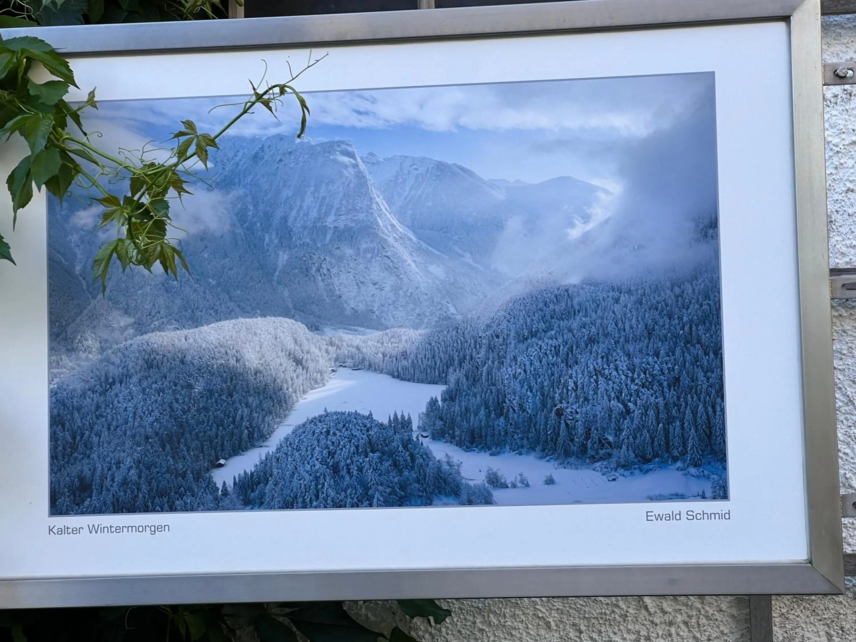 Piburg Seebichlhof