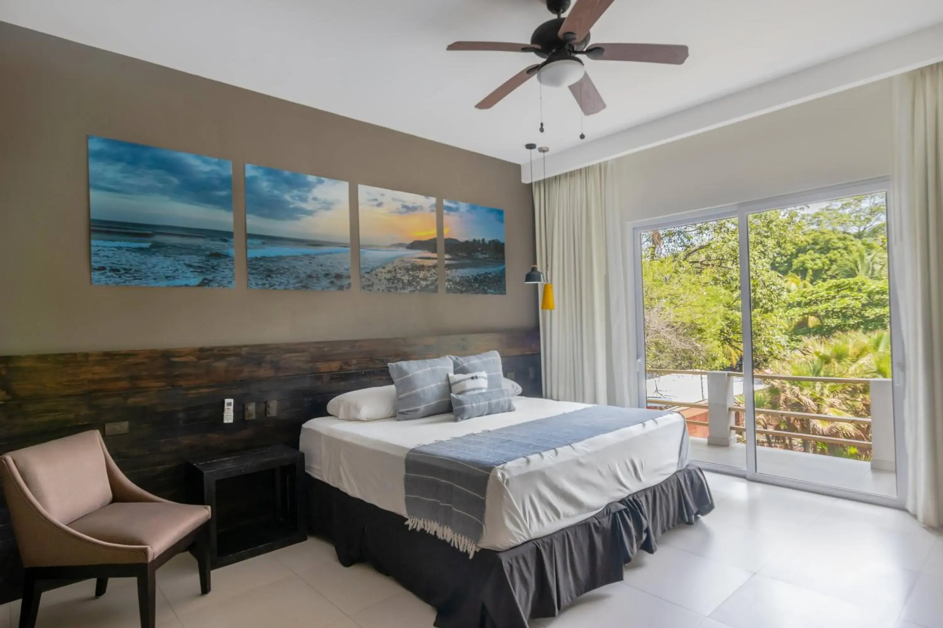 Double Room in Palo Verde Sustainable Hotel Double Room in Palo Verde Sustainable Hotel