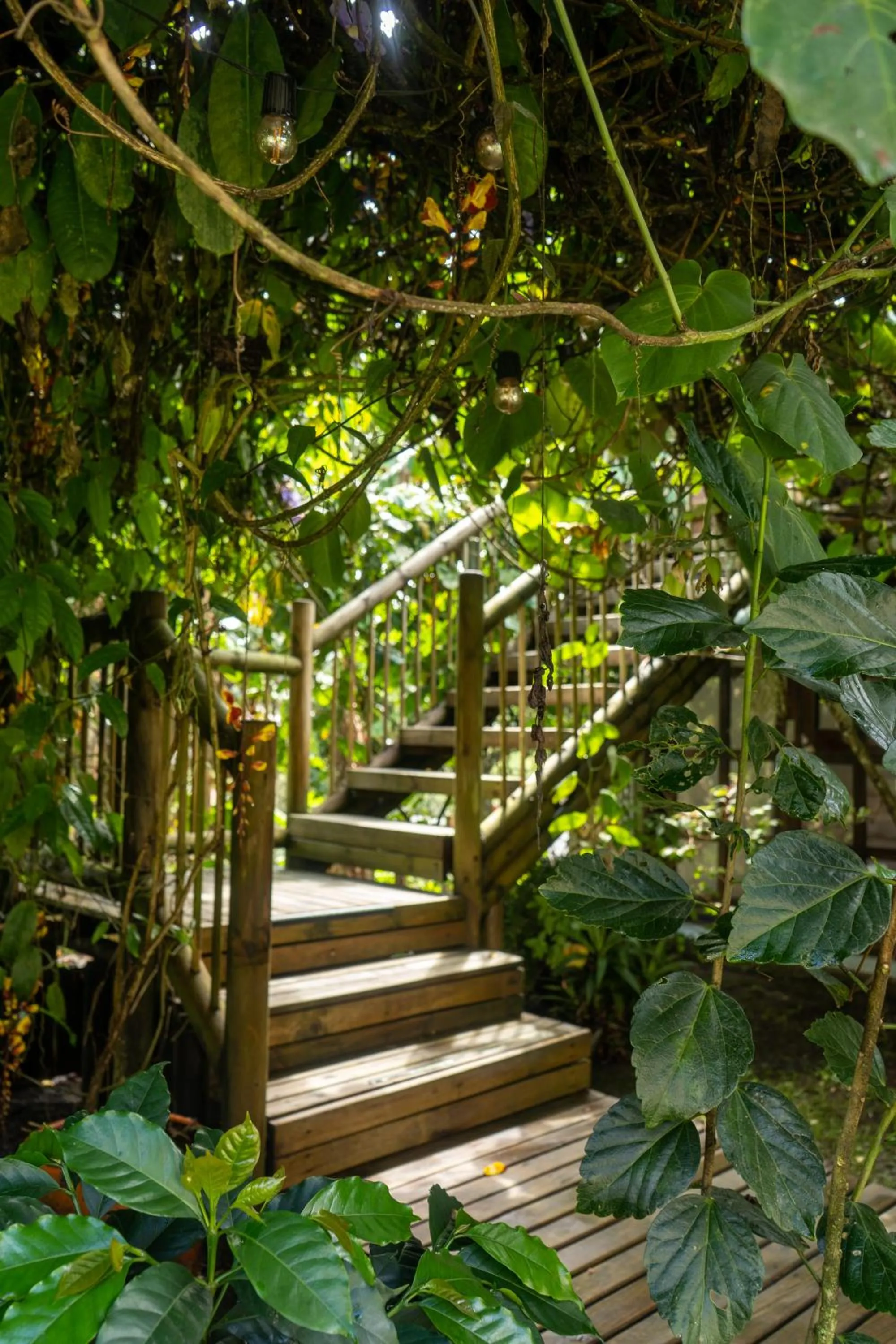 Garden in Terasu Hotel Boutique Salento