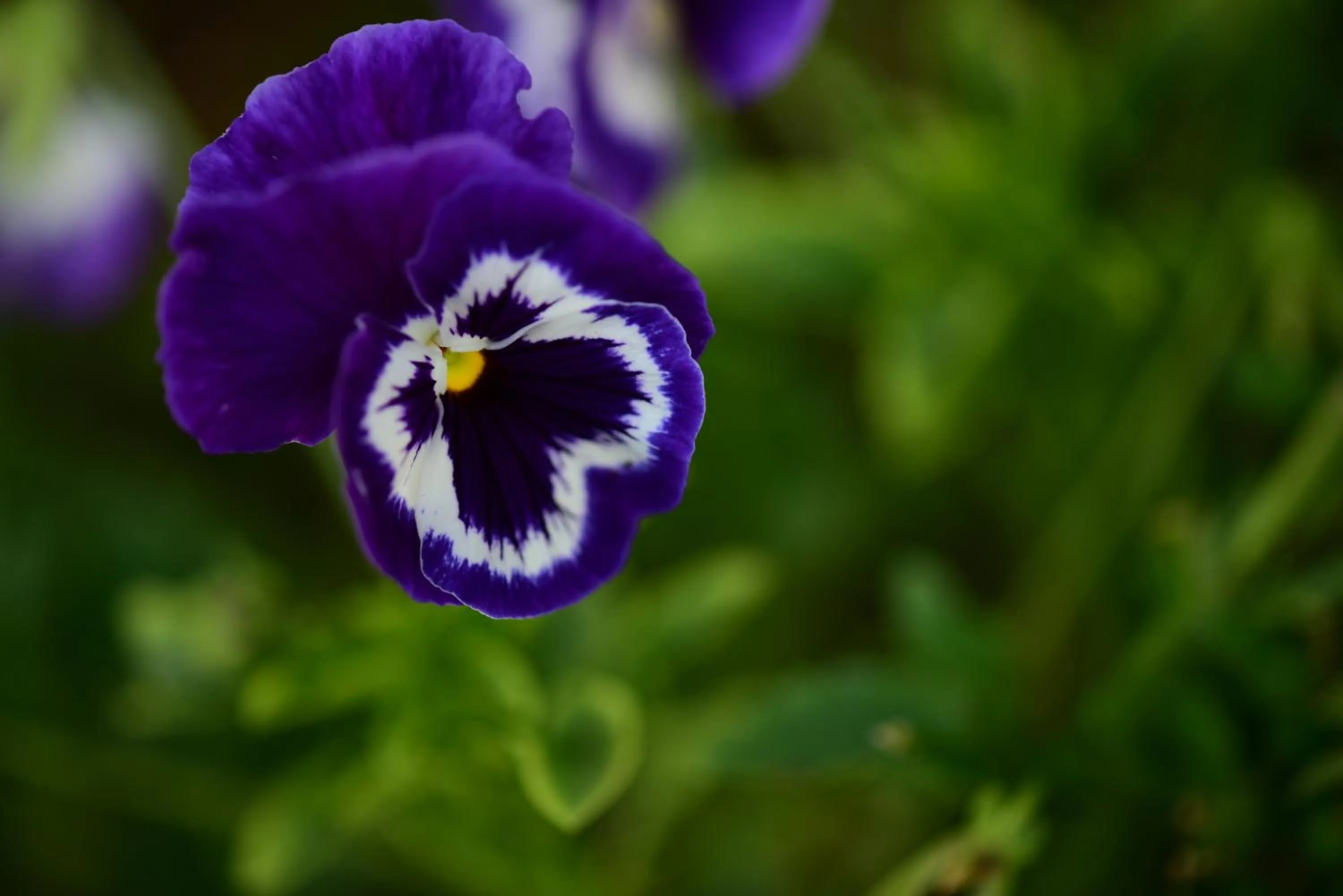 Natural landscape in Dalat Cadasa Resort