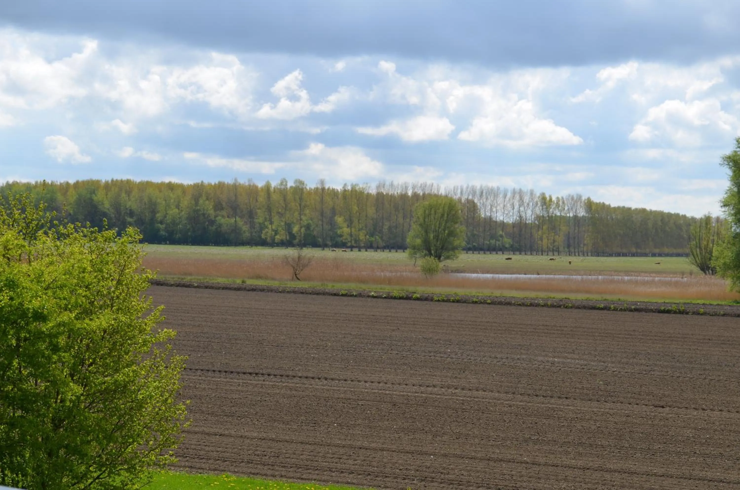 Property building in Klein Cambron