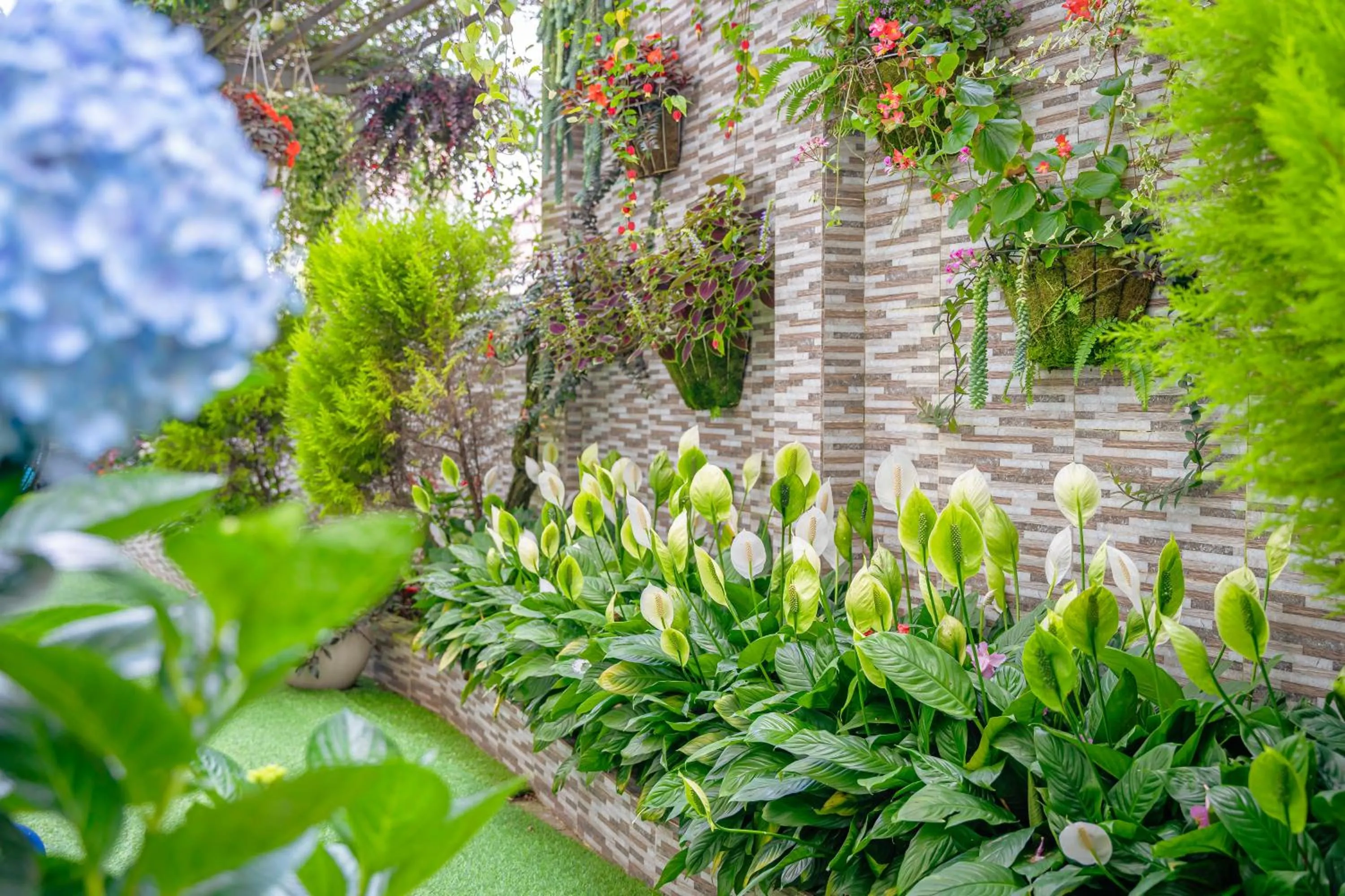 Garden view in Minh Chien Hotel