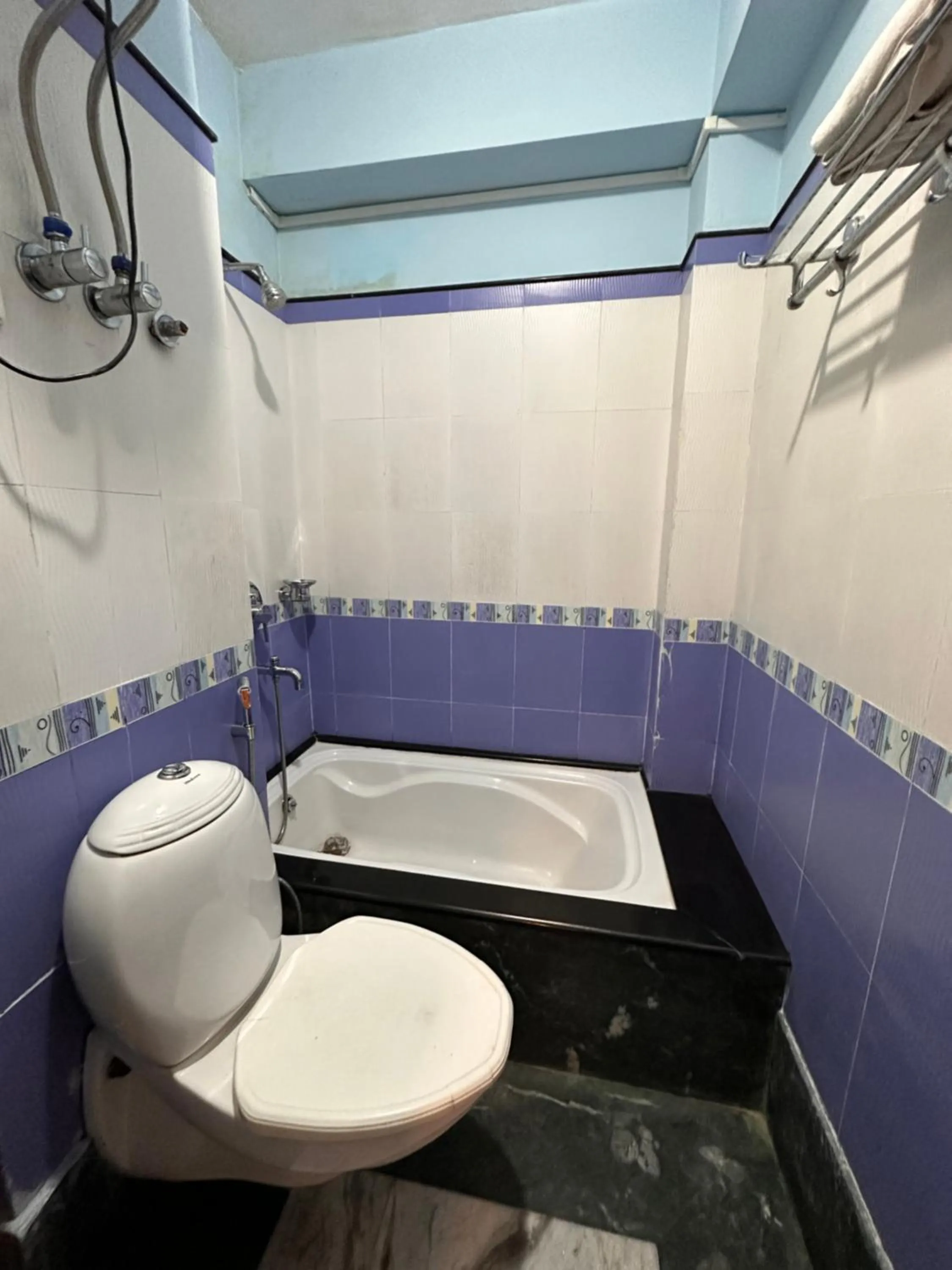 Bathroom in Hotel Gajraj