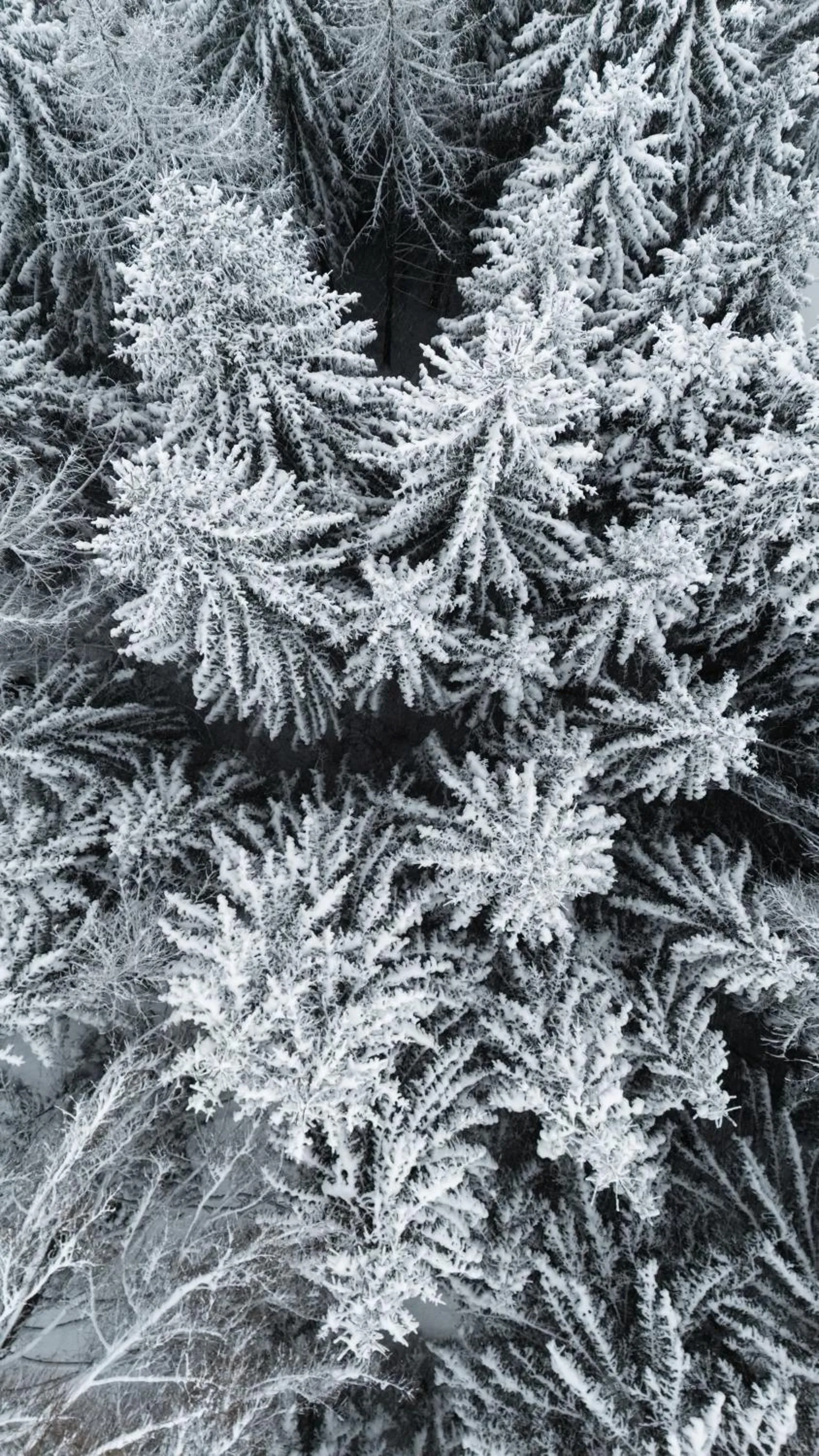 Natural landscape in ARPURIA - 4 Star Superior - Adults Only