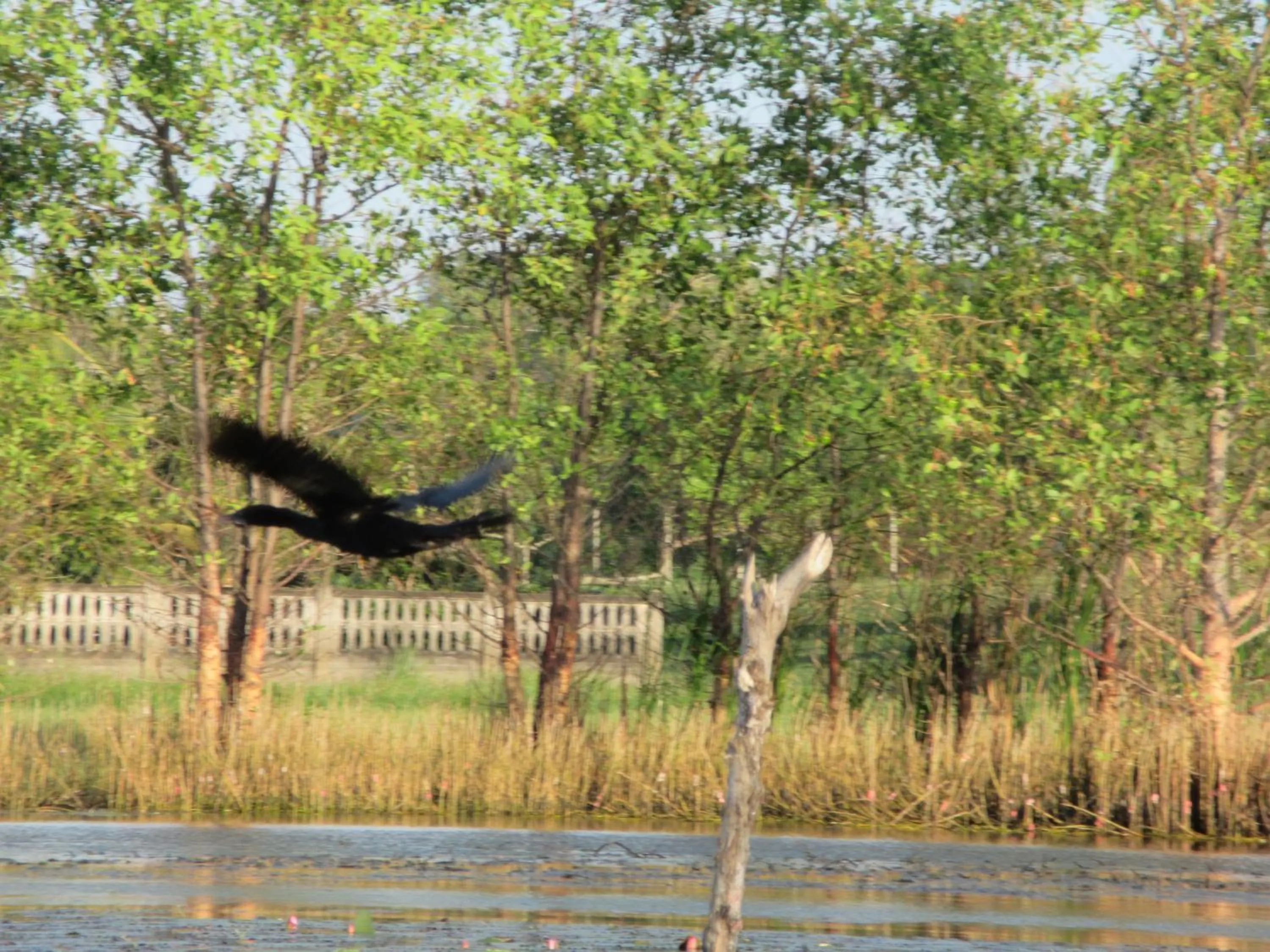 Natural landscape in Ao Thai Resort
