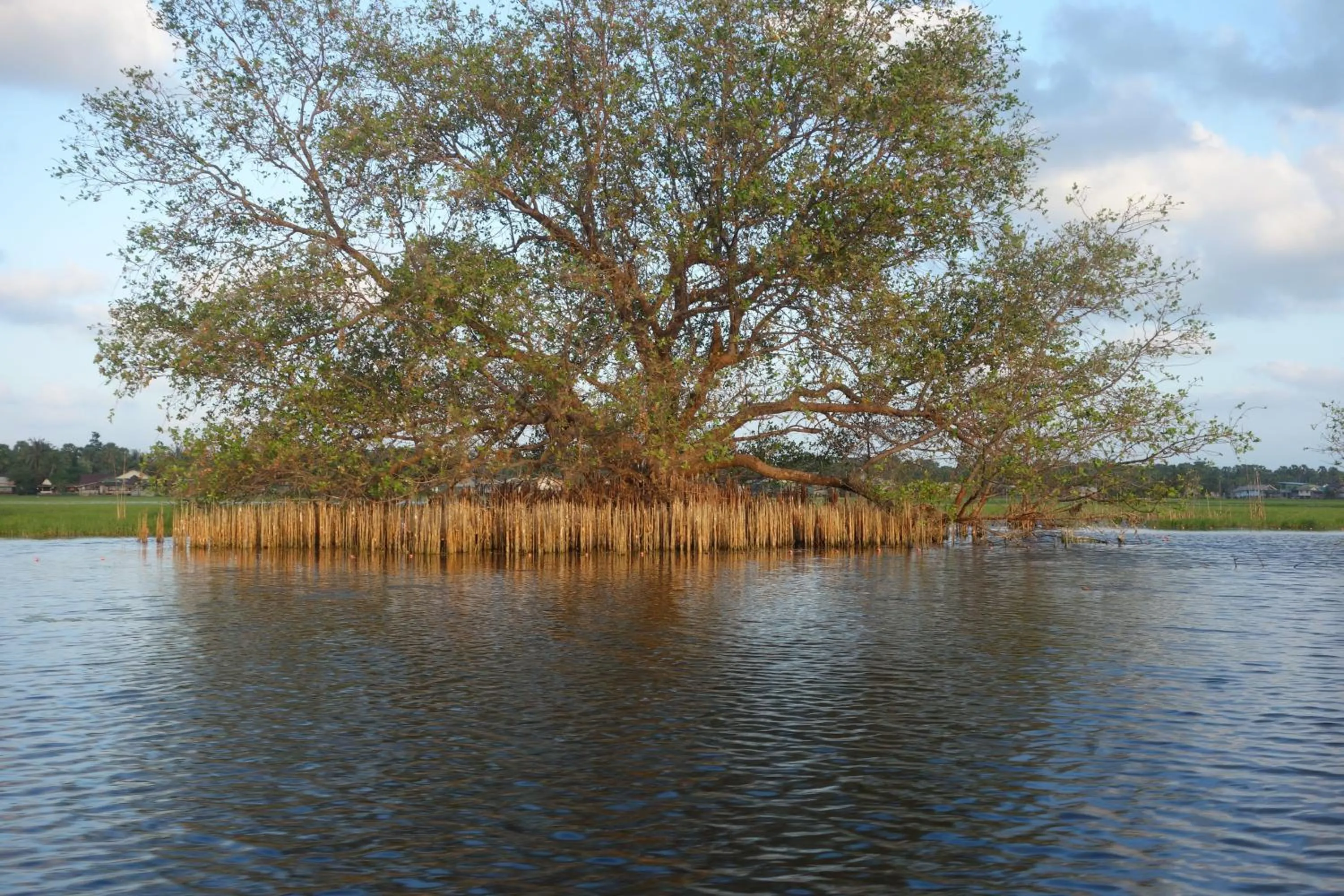 Natural landscape in Ao Thai Resort