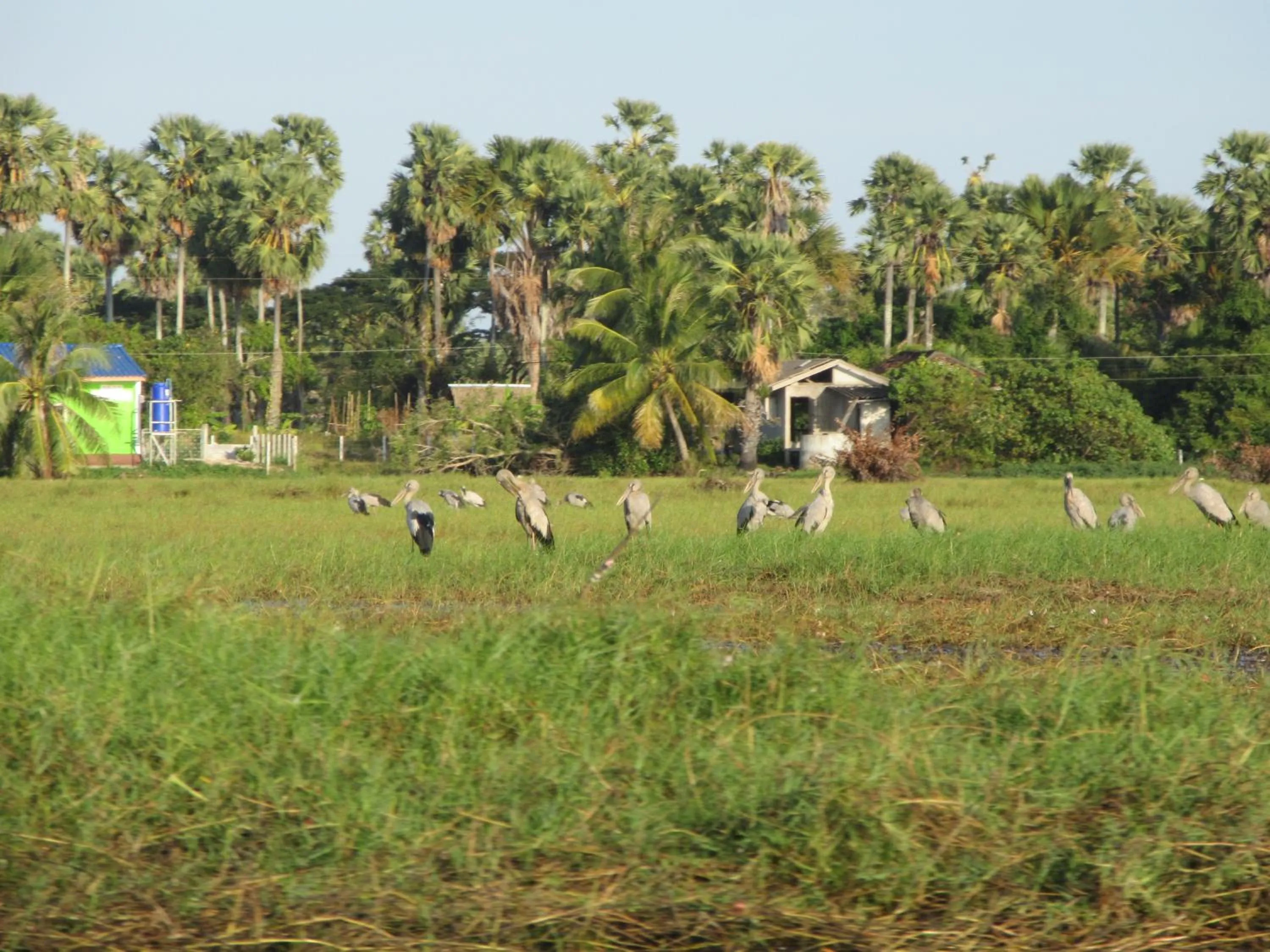 Natural landscape in Ao Thai Resort