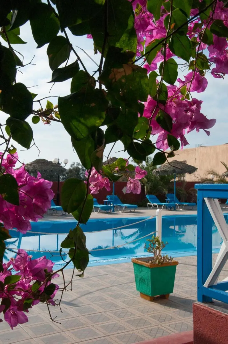 Swimming pool in Villa Michalis